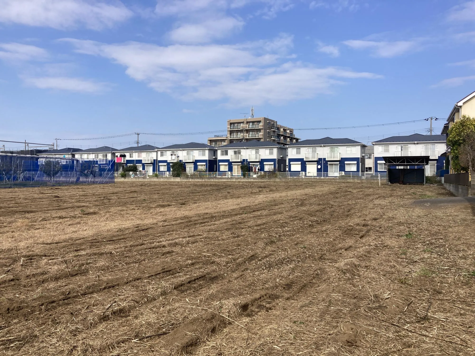 ★販売現地★
2025.11.8　撮影