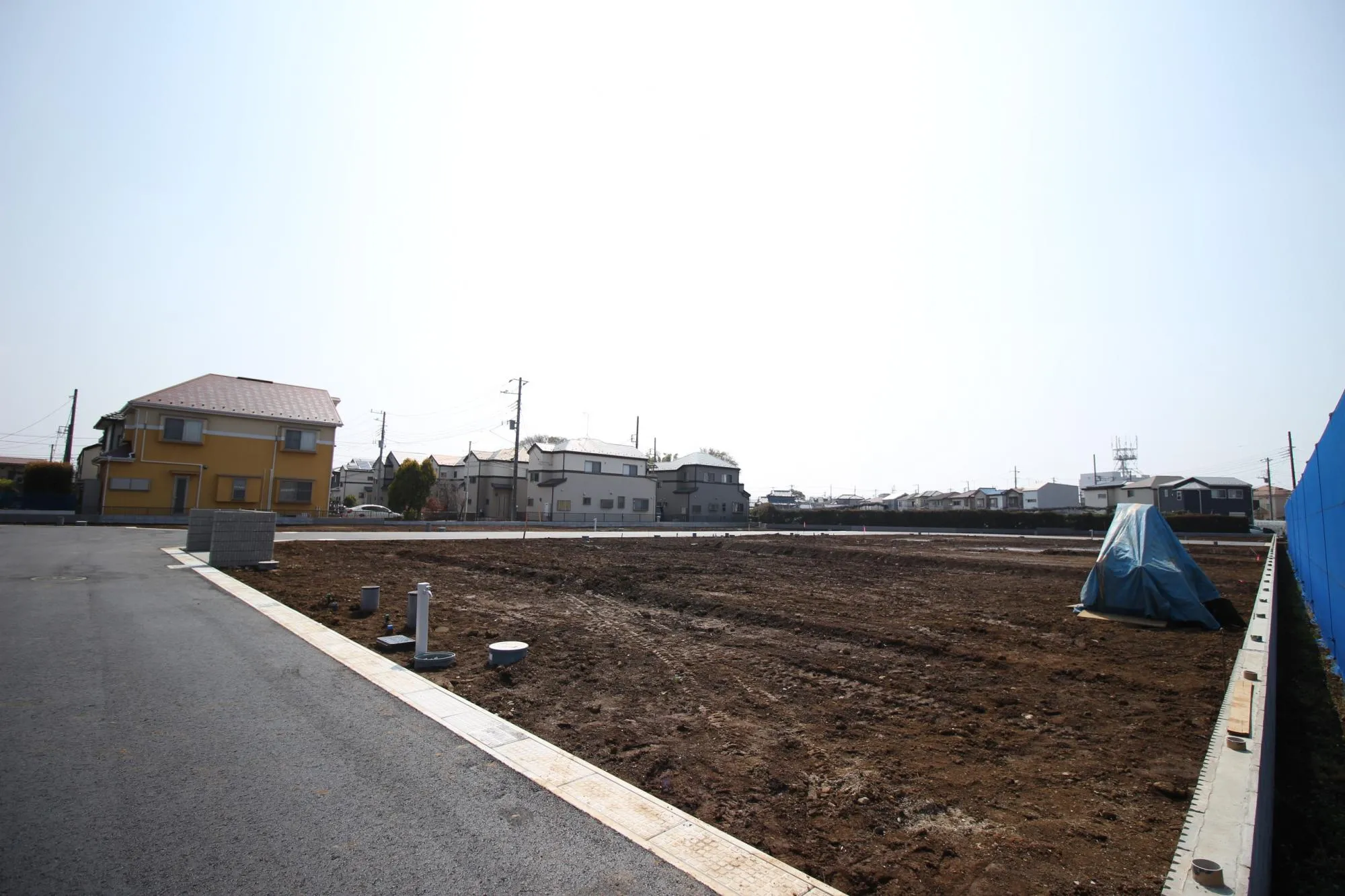 ★販売現地★
2026.3.29　撮影