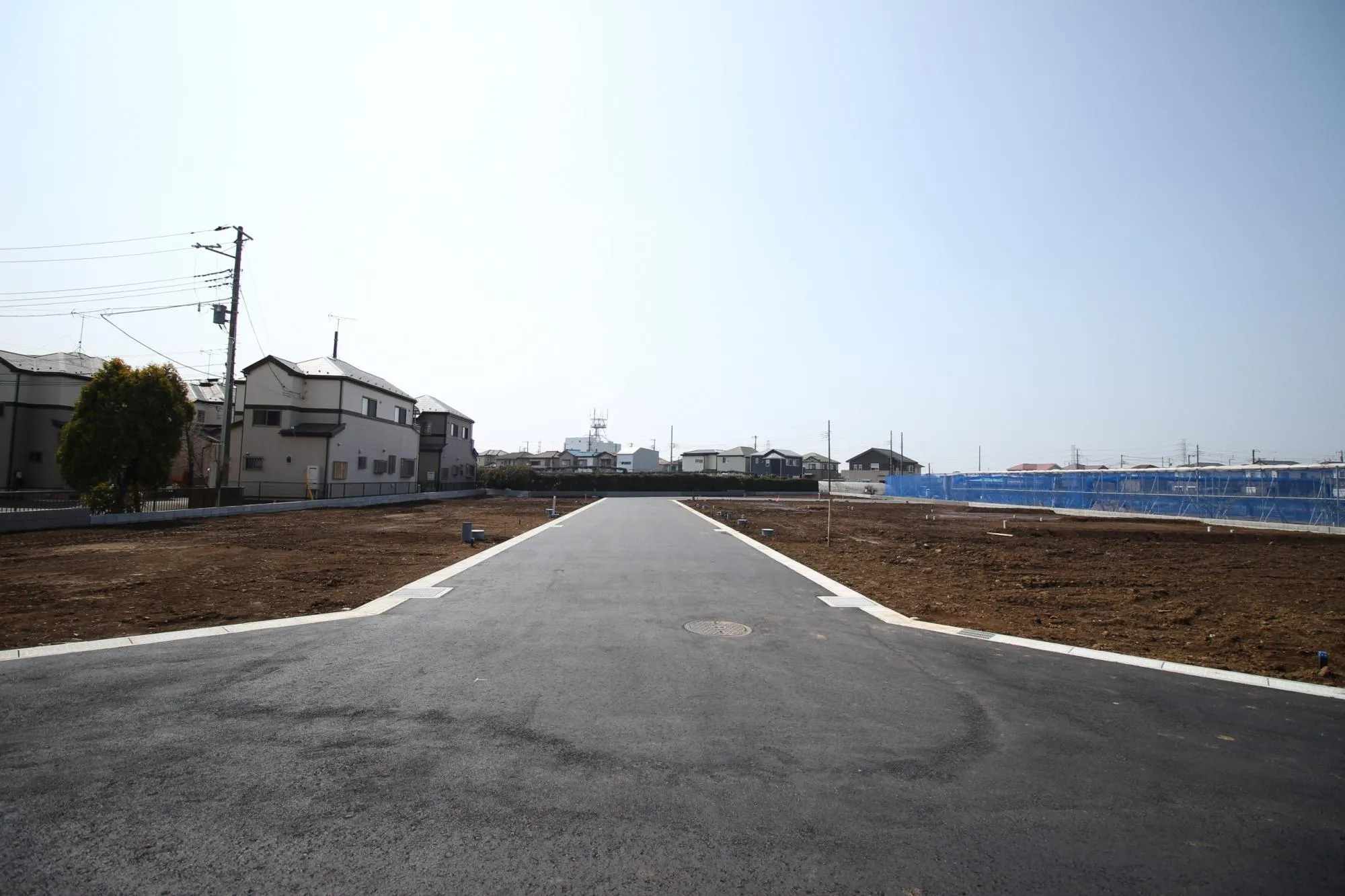 ★販売現地★
2026.3.29　撮影