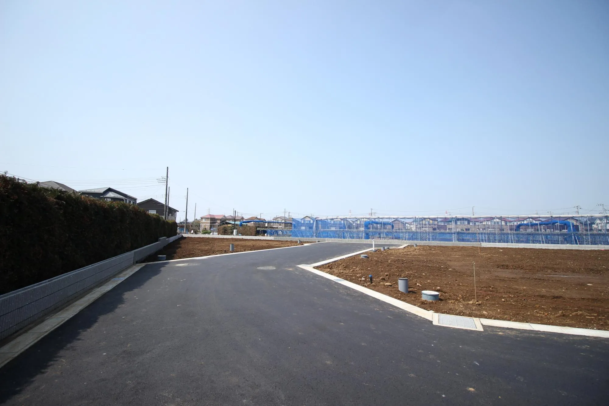 ★販売現地★
2026.3.29　撮影