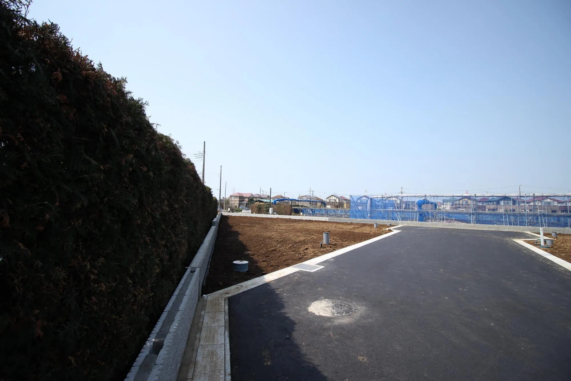 ★販売現地★
2026.3.29　撮影