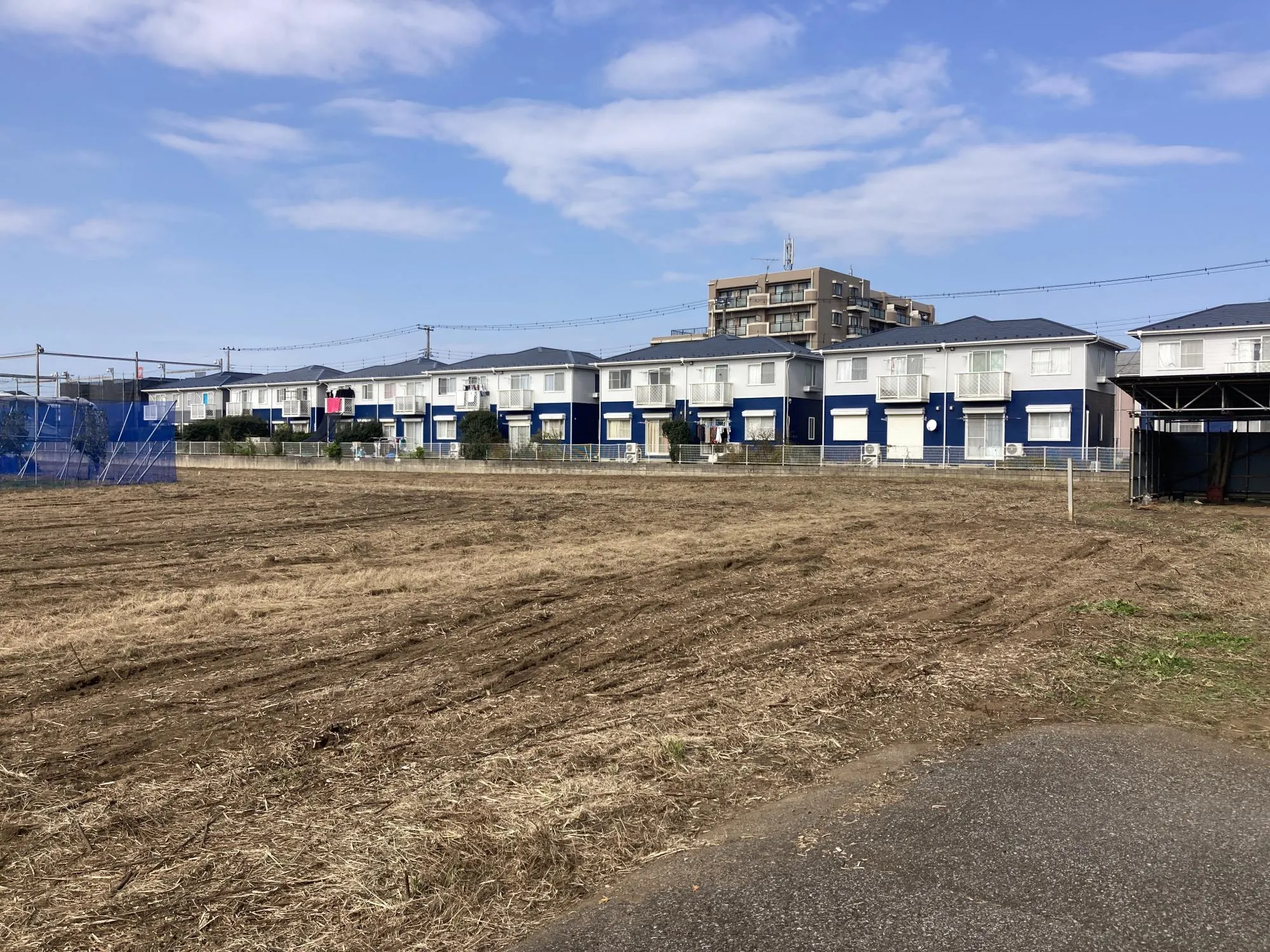 ★販売現地★
2025.11.8　撮影