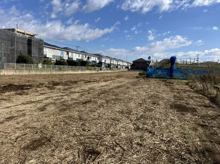 ★販売現地★
2025.11.10　撮影