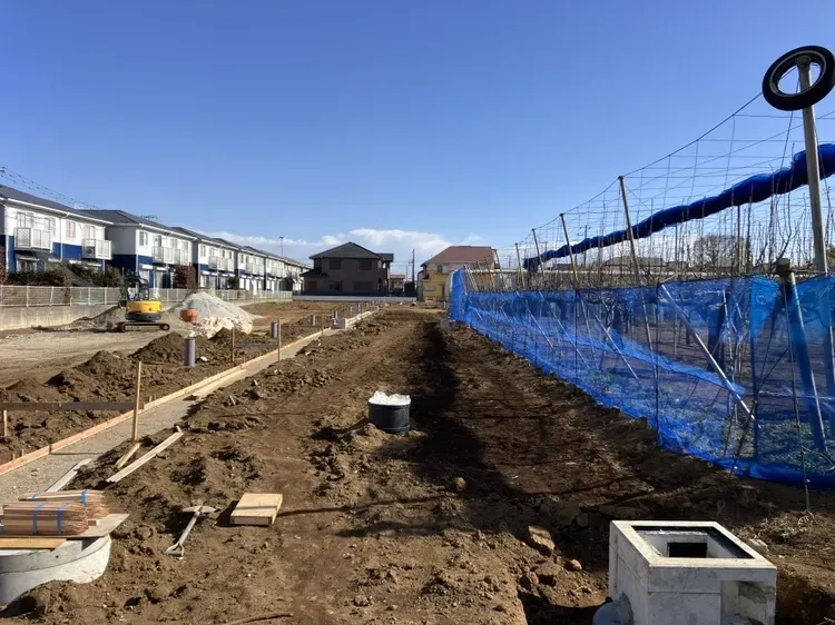 ★販売現地★
2026.1.11　撮影