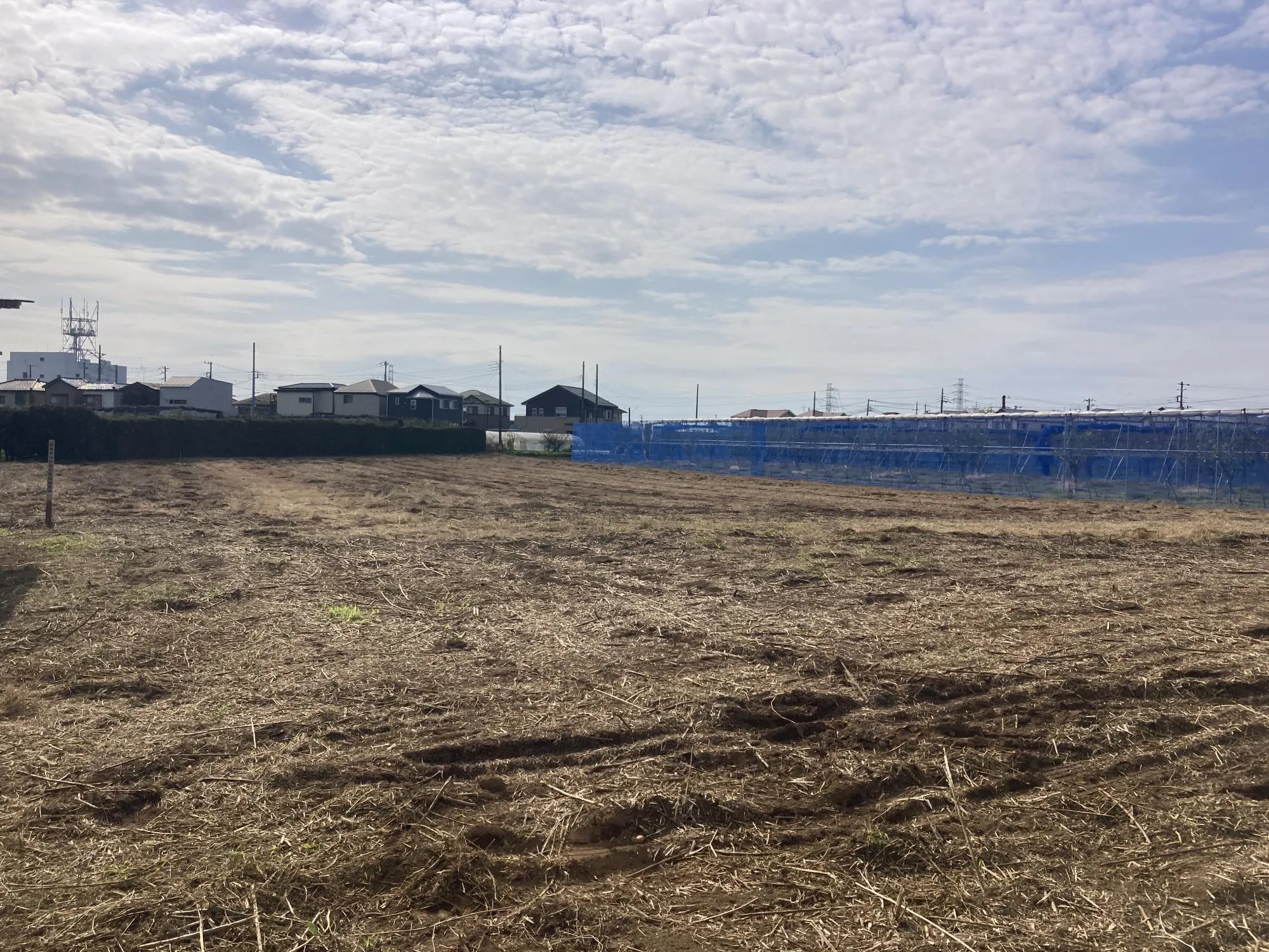 ★販売現地★
2025.11.8　撮影