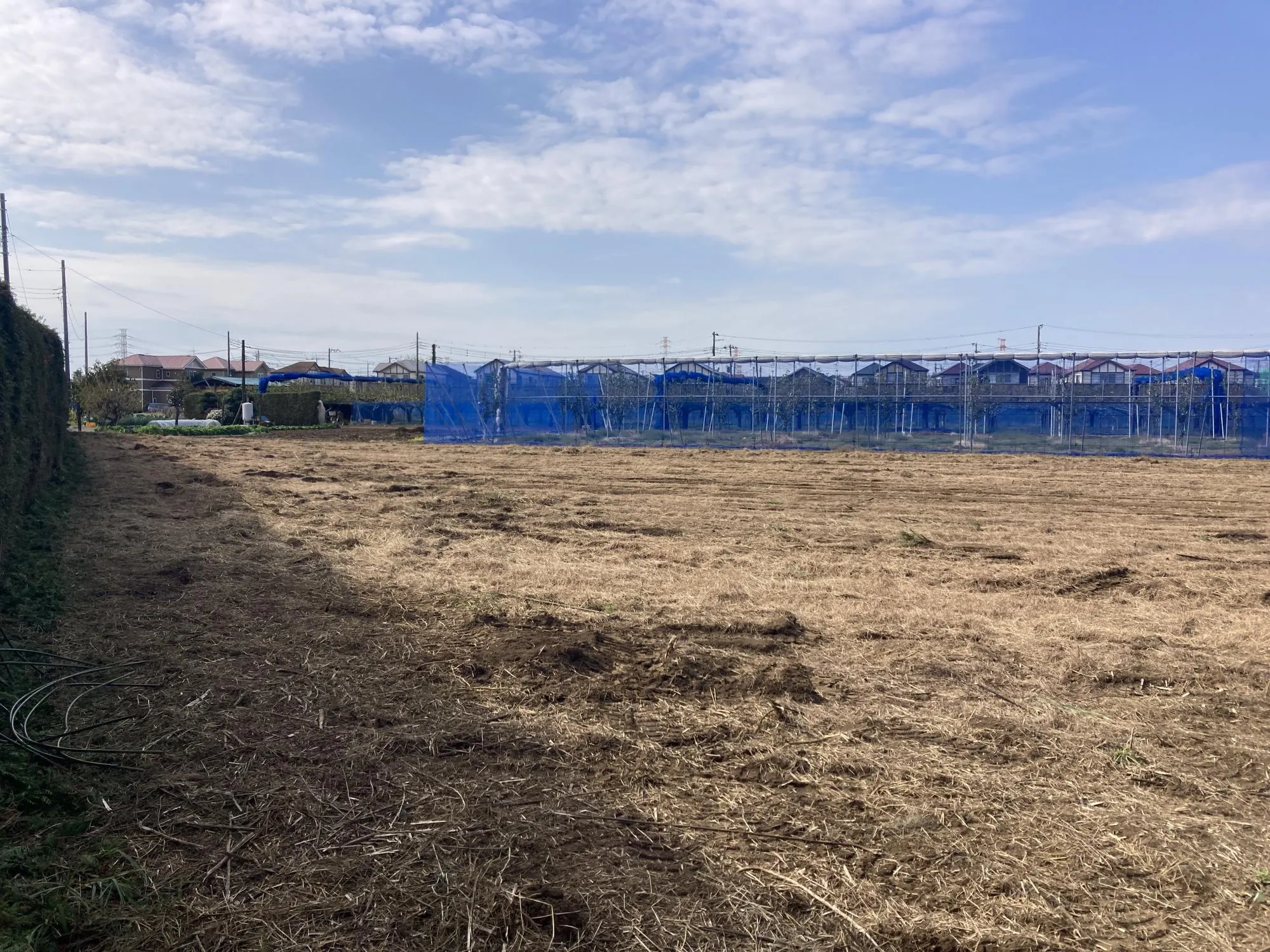 ★販売現地★
2025.11.8　撮影