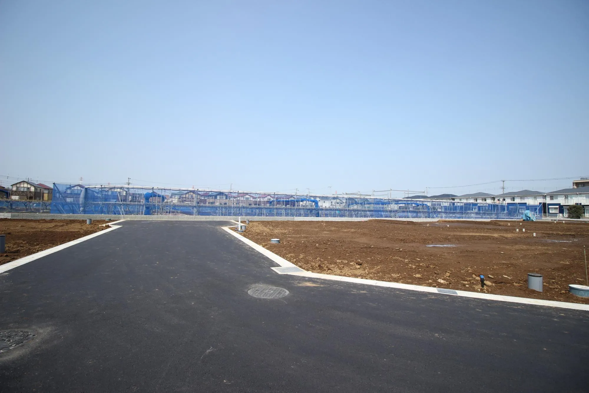 ★販売現地★
2026.3.29　撮影