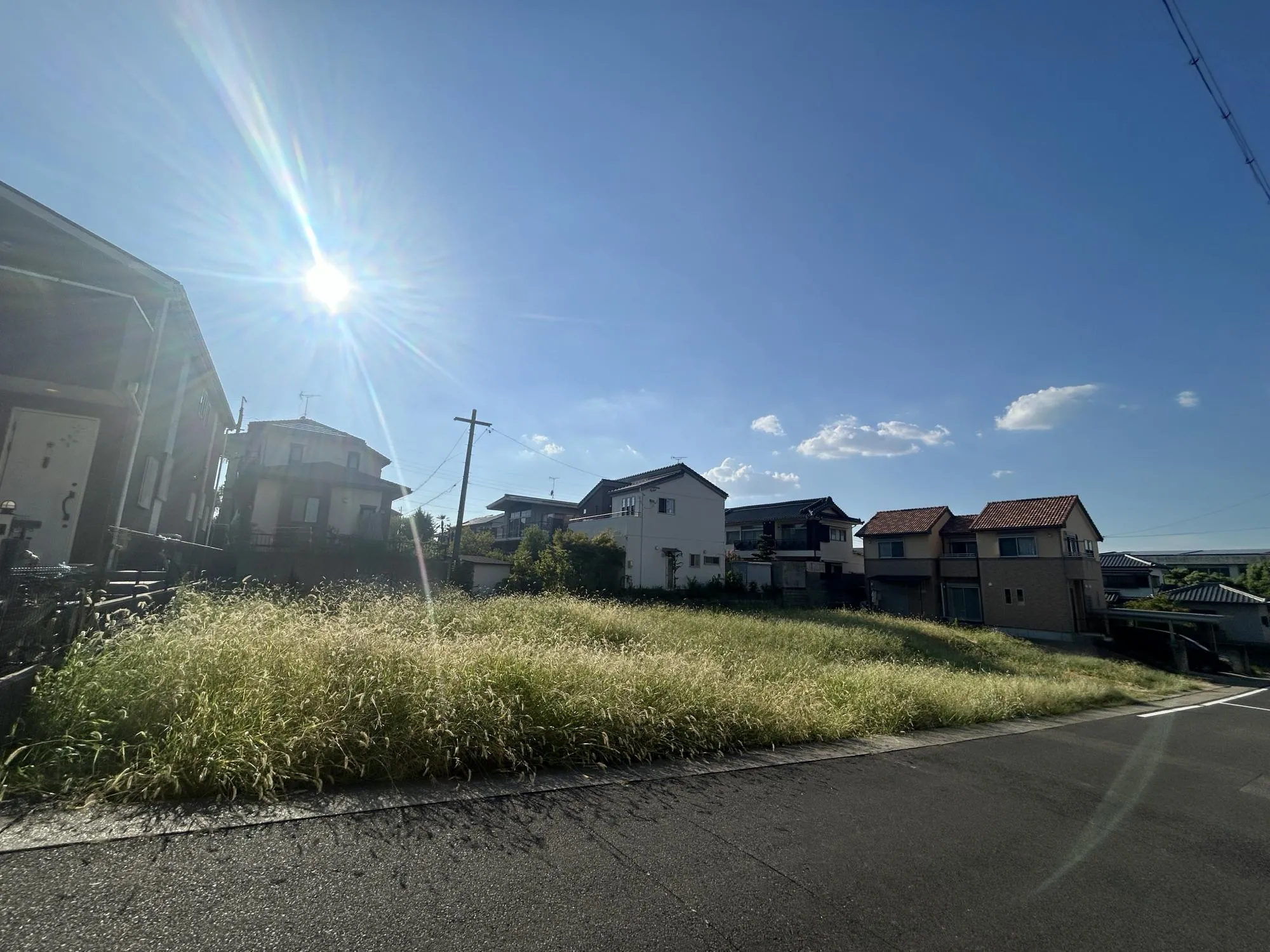 現地写真(造成前)