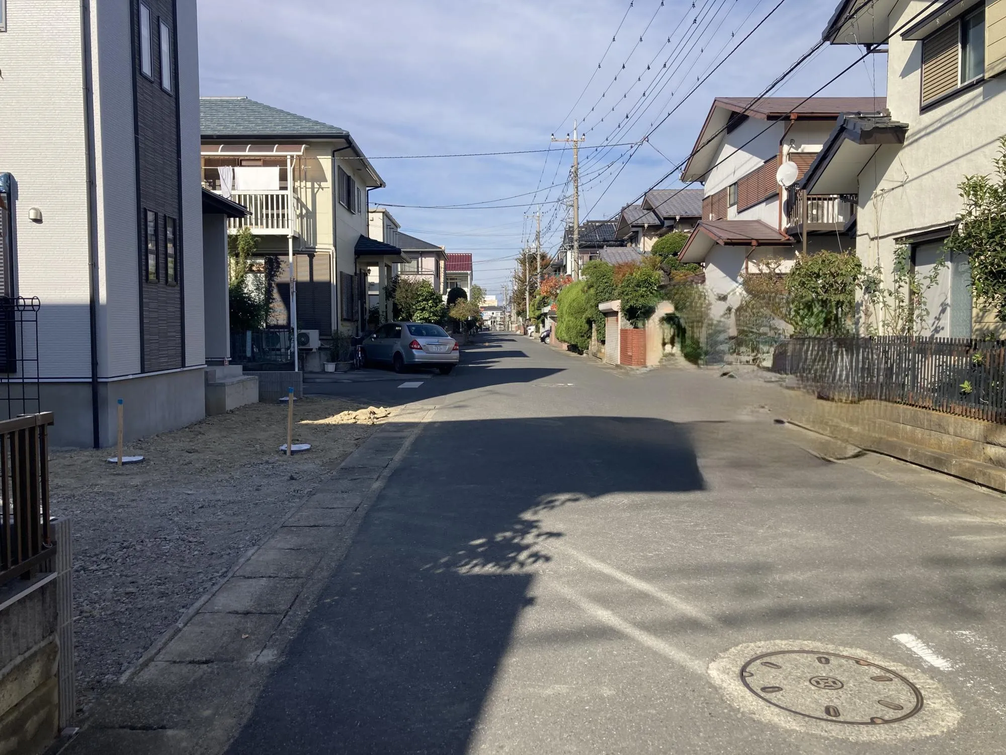 現地写真 11月撮影