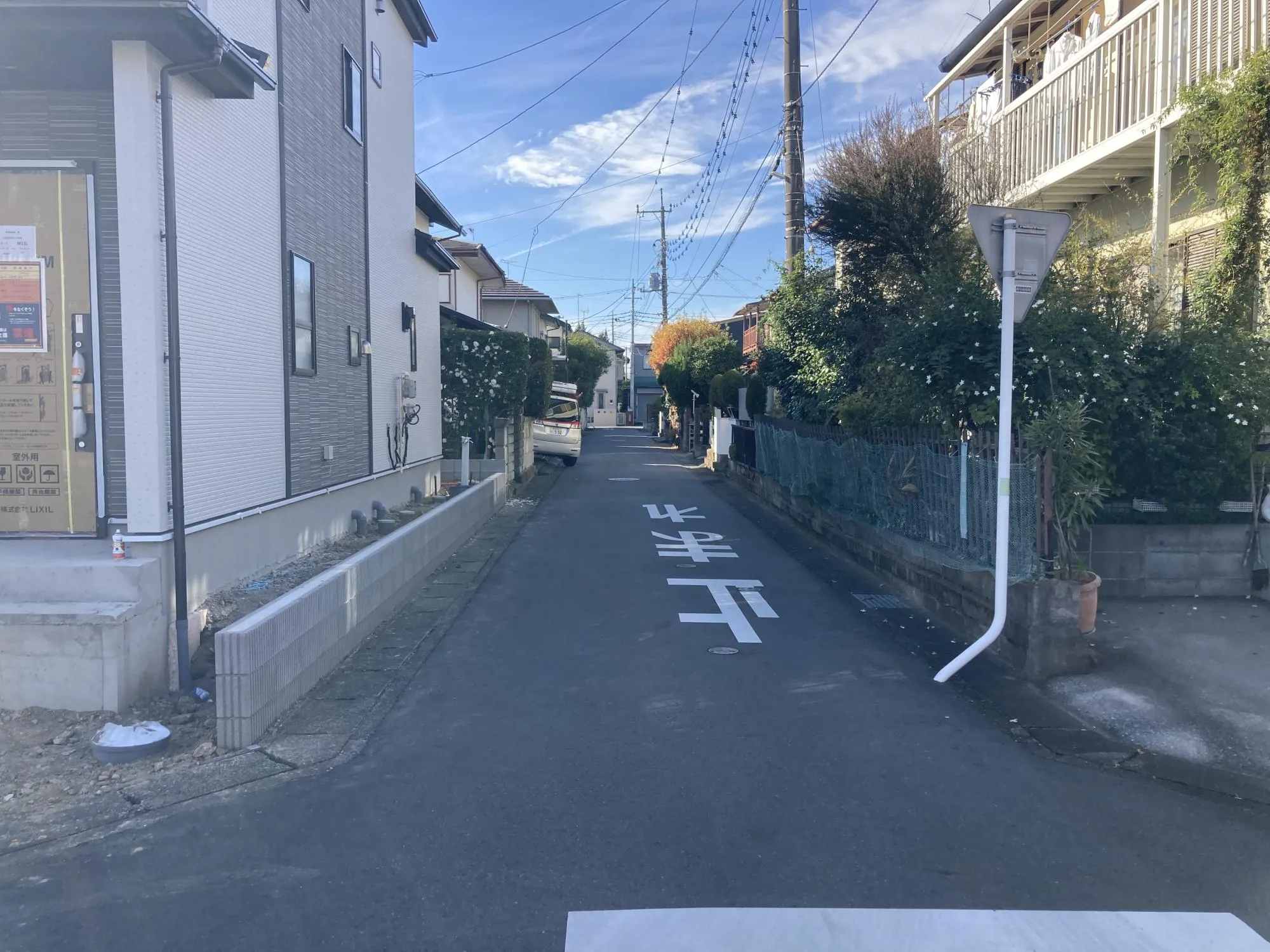 現地写真 11月撮影