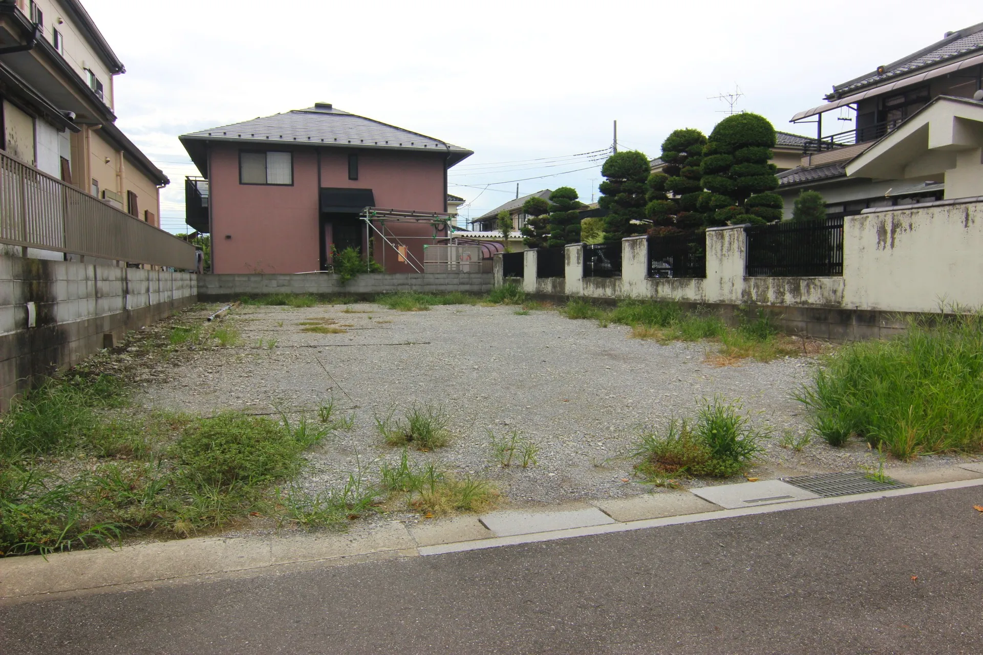 販売現地【2025/9/14撮影】