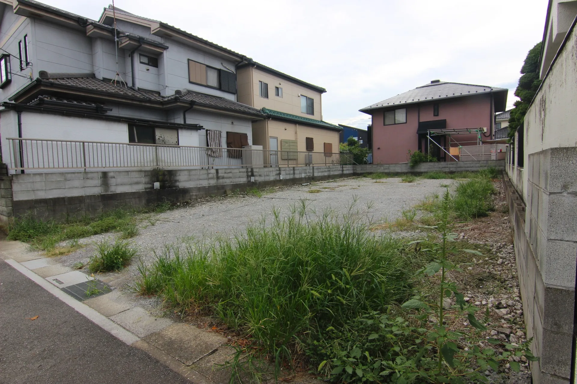 販売現地【2025/9/14撮影】