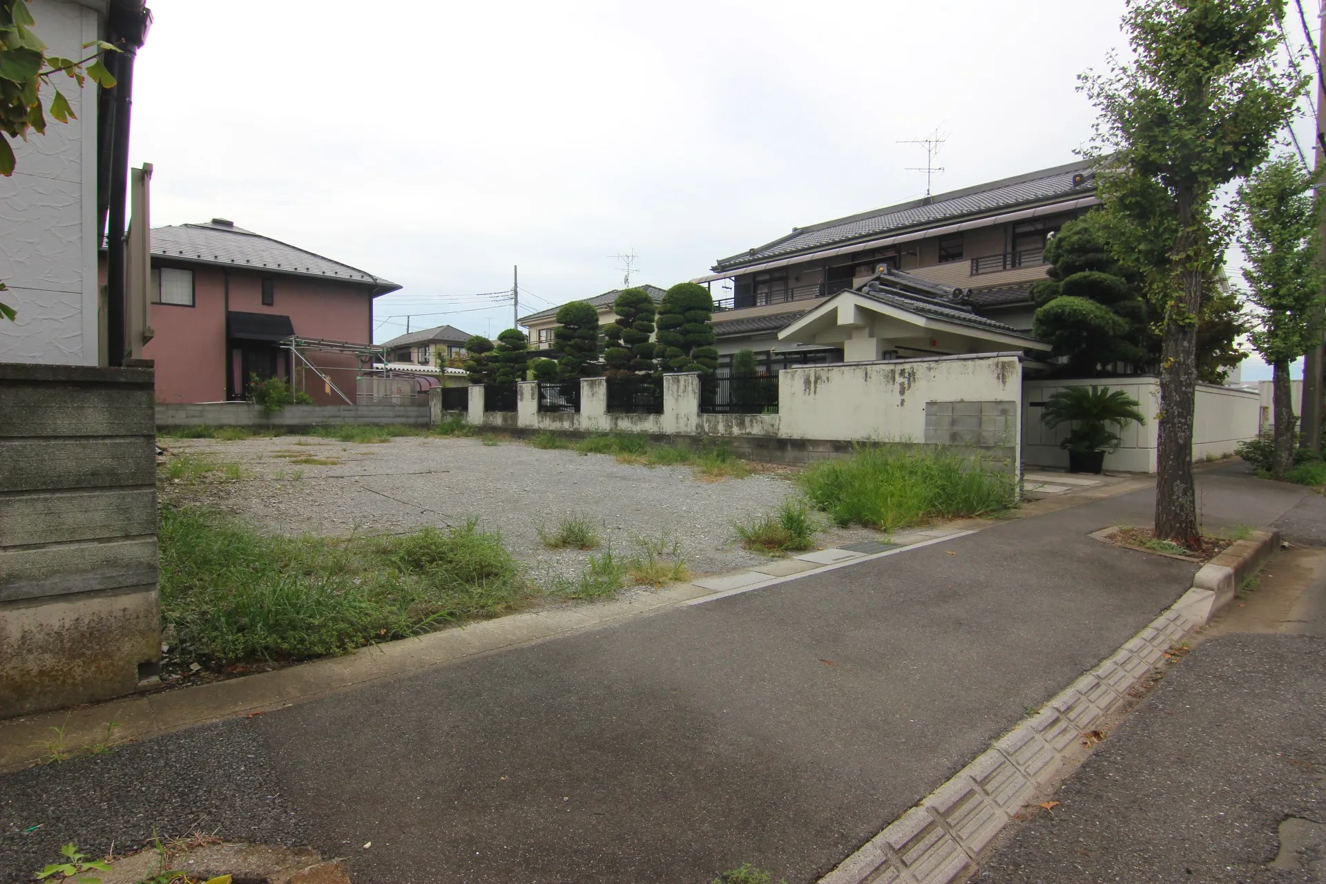 販売現地【2025/9/14撮影】