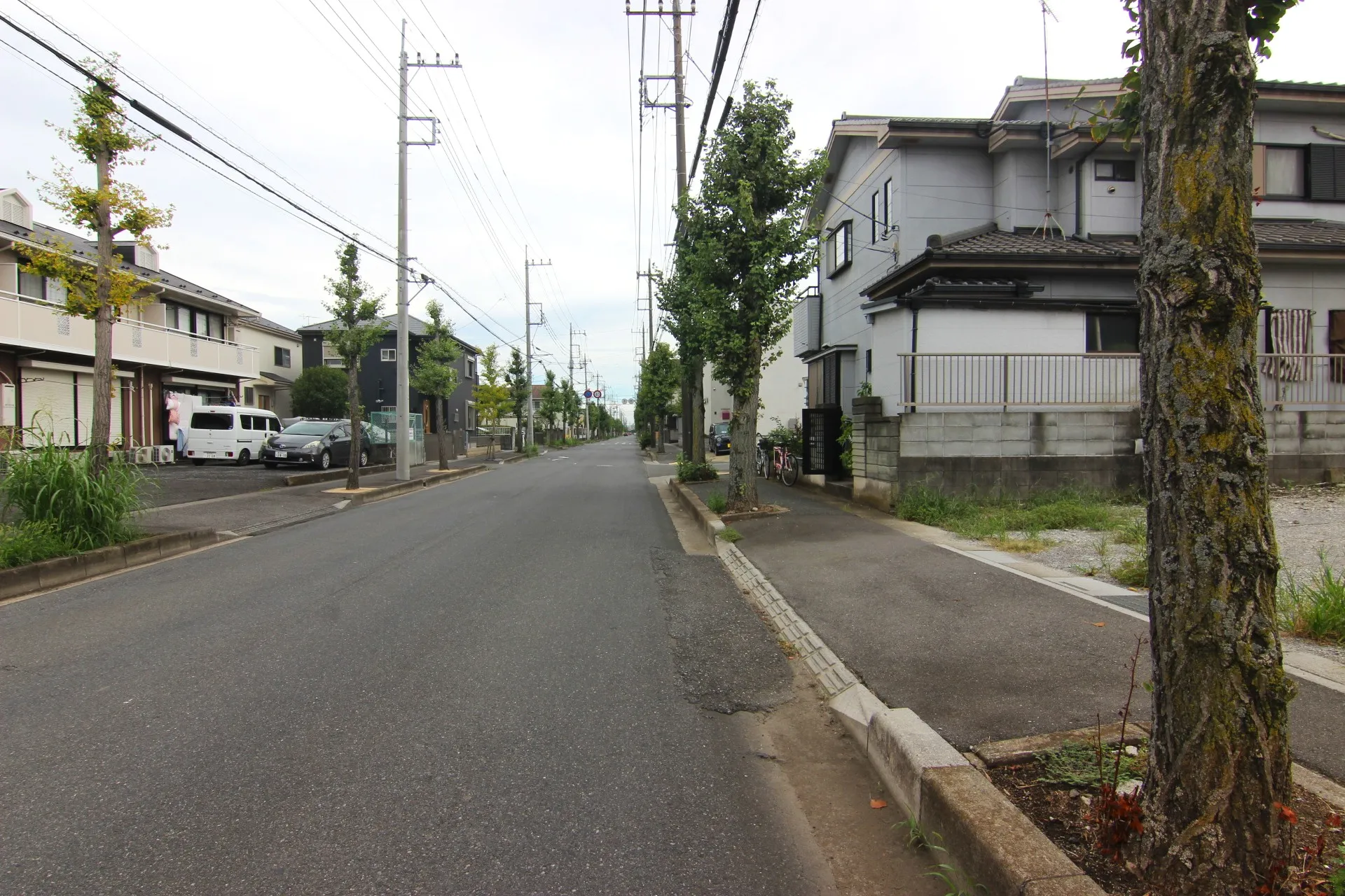 販売現地【2025/9/14撮影】