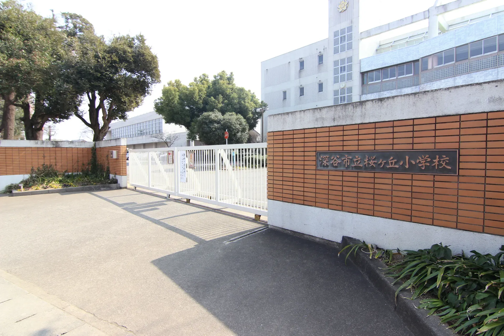 桜ヶ丘小学校