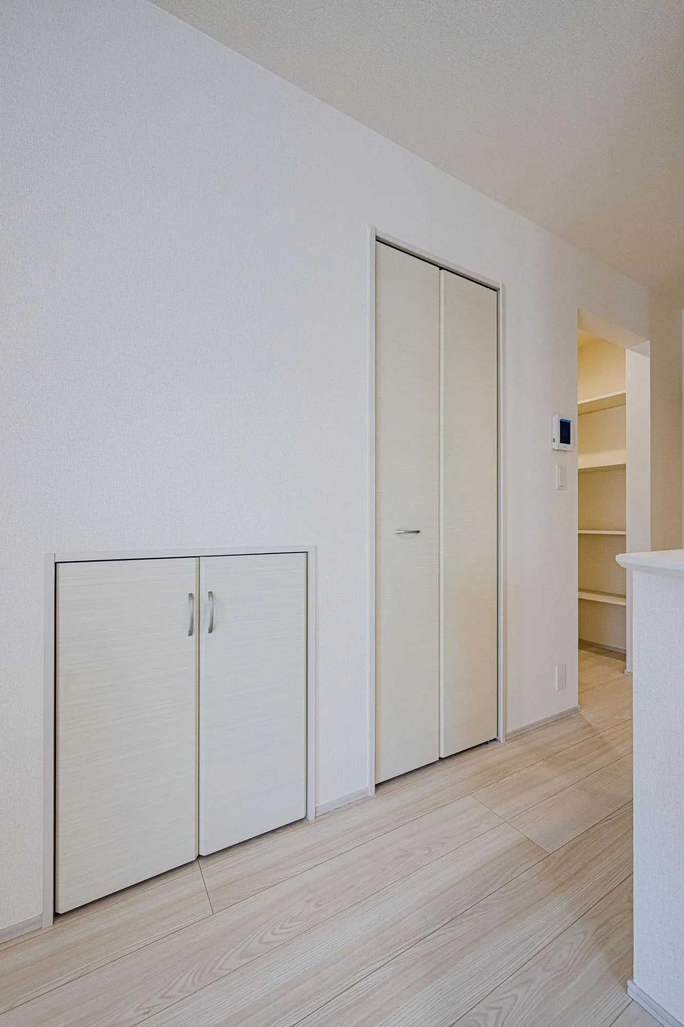 2号棟:LDK18.0帖の収納