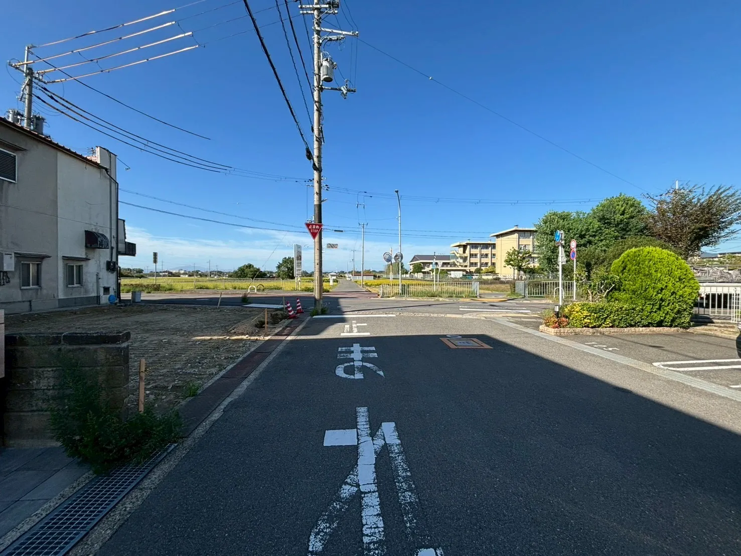 現地写真