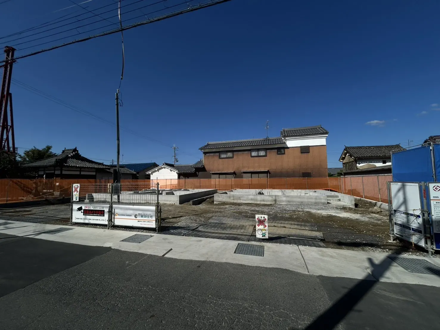 2025年10月中旬撮影