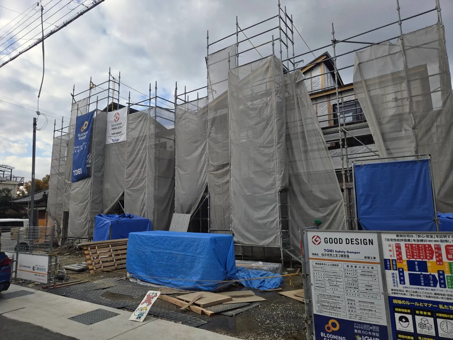 20025年11月下旬現地撮影