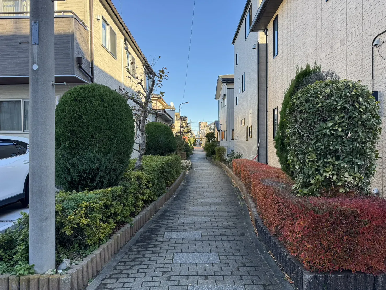 物件裏手　遊歩道