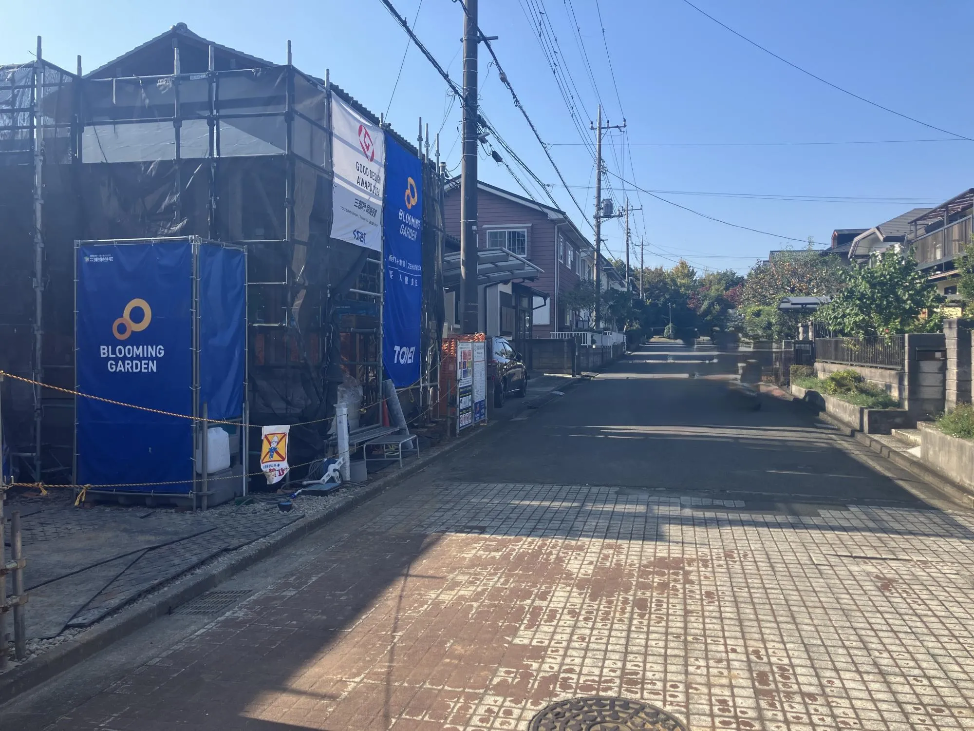 現地写真　10月撮影