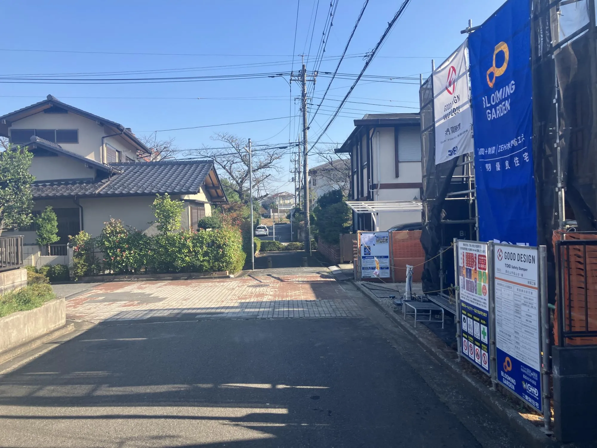 現地写真　10月撮影