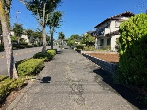 現地写真　9月撮影