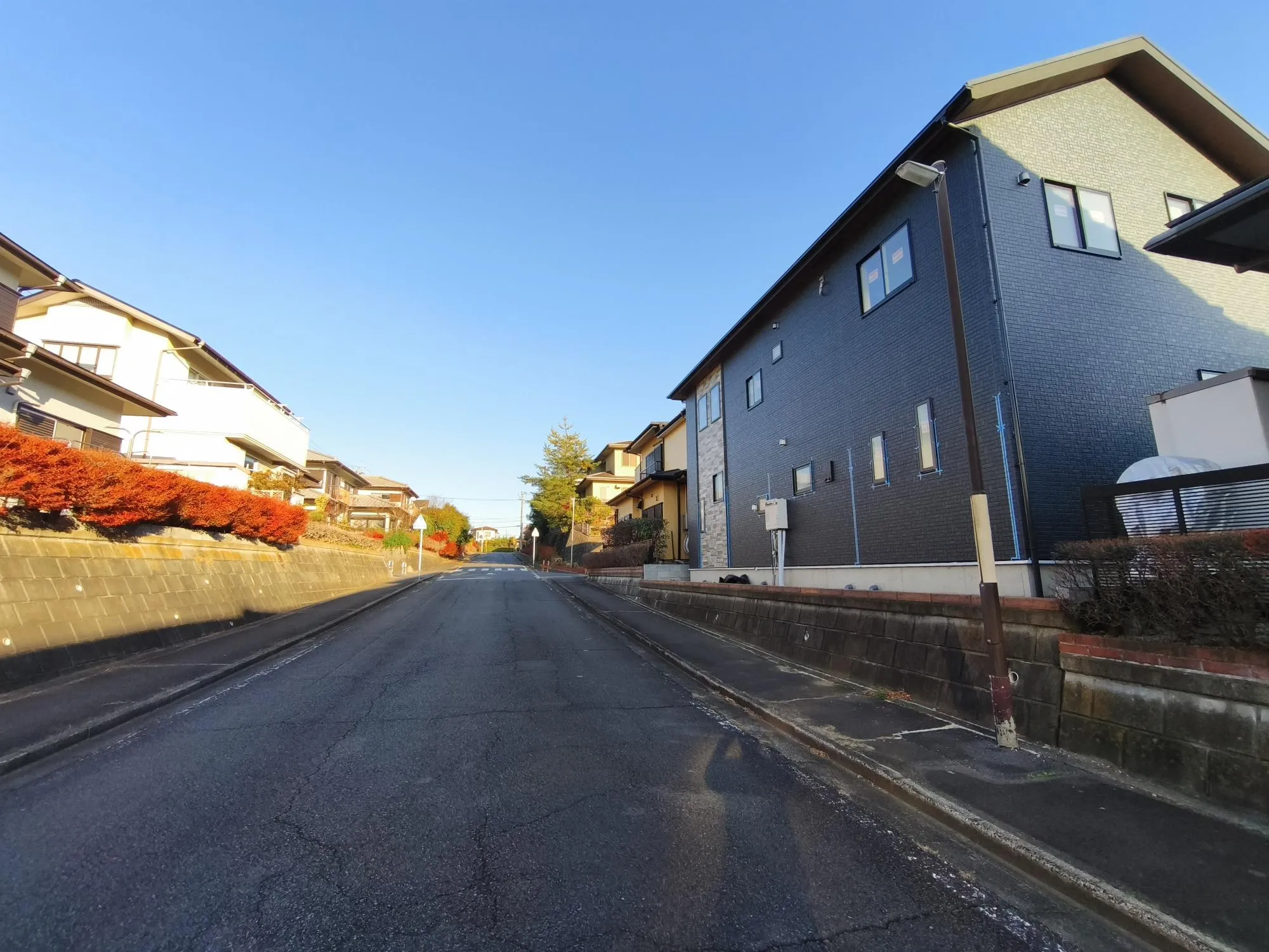 現地写真　11月撮影