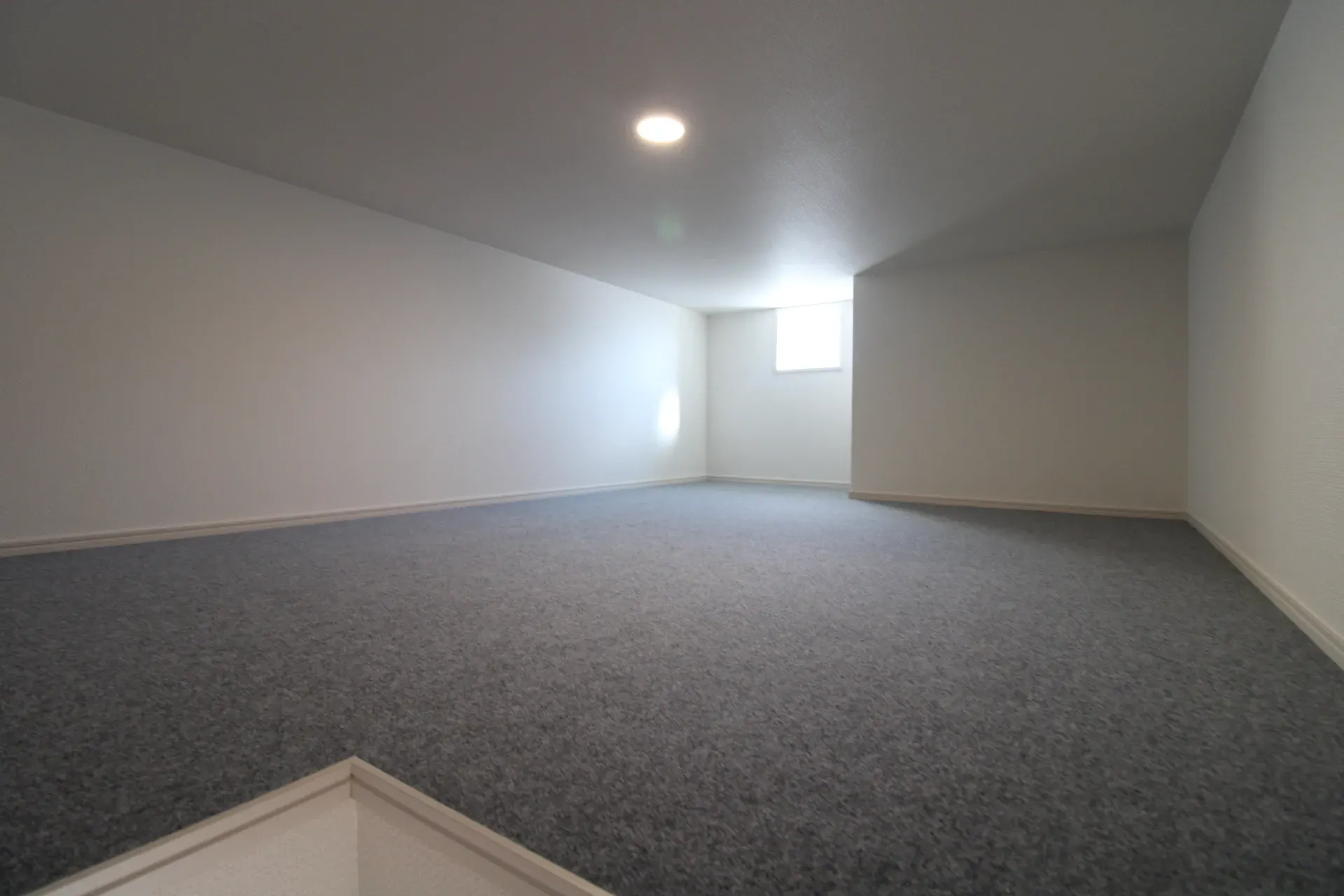 グルニエ(小屋裏収納)