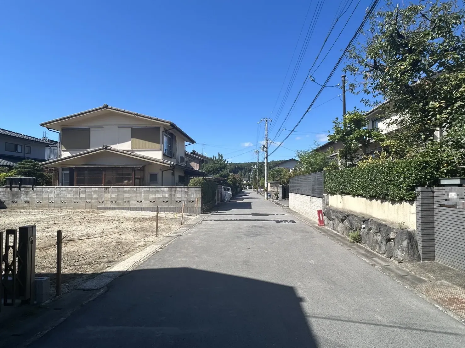 【販売現地】2025.10.10撮影