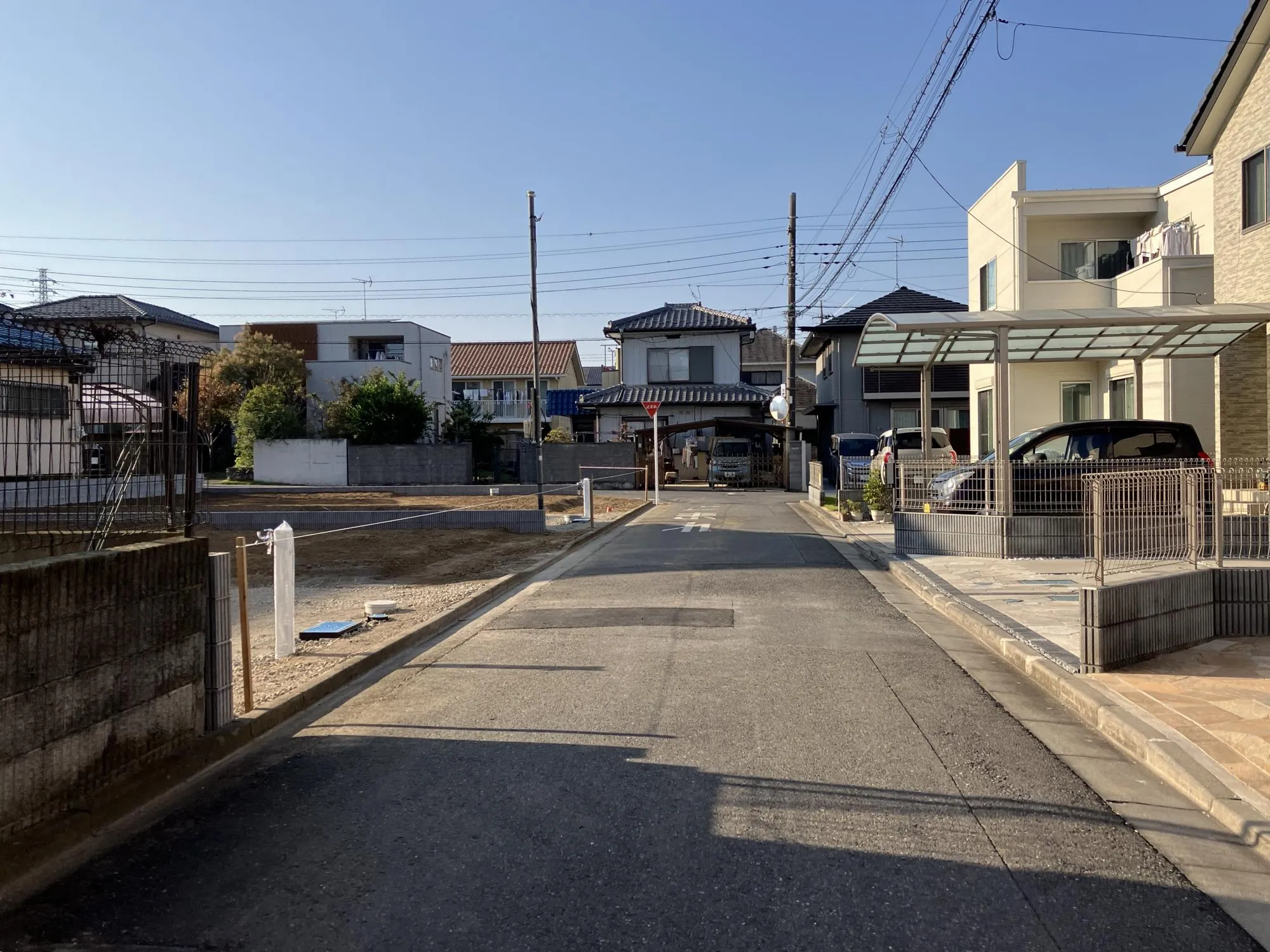 現地写真　11月撮影