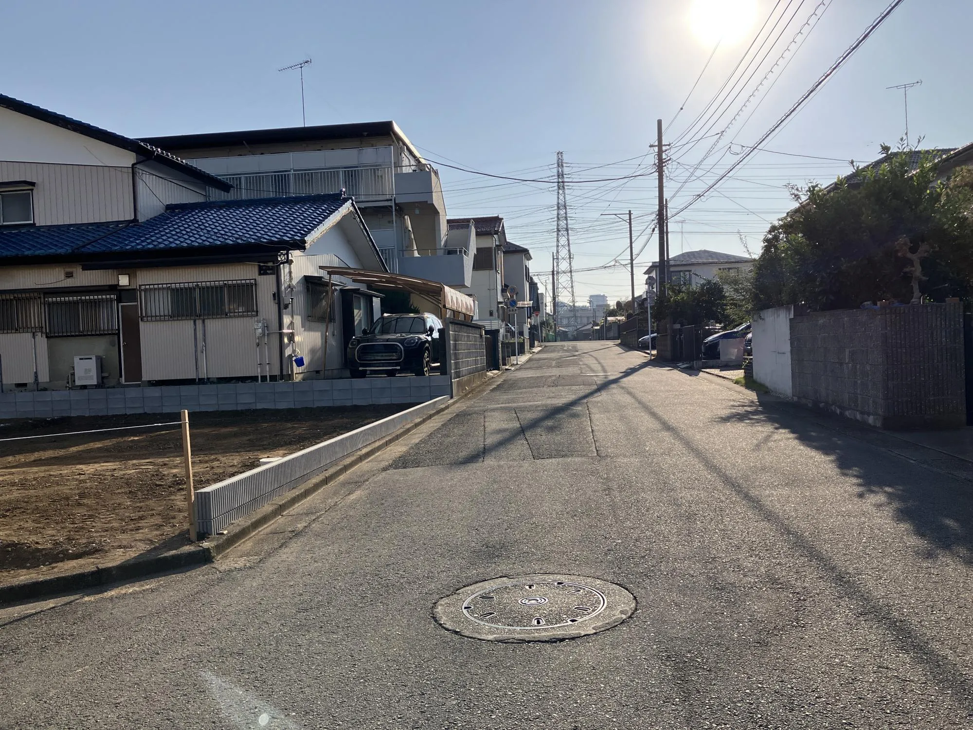 現地写真　11月撮影