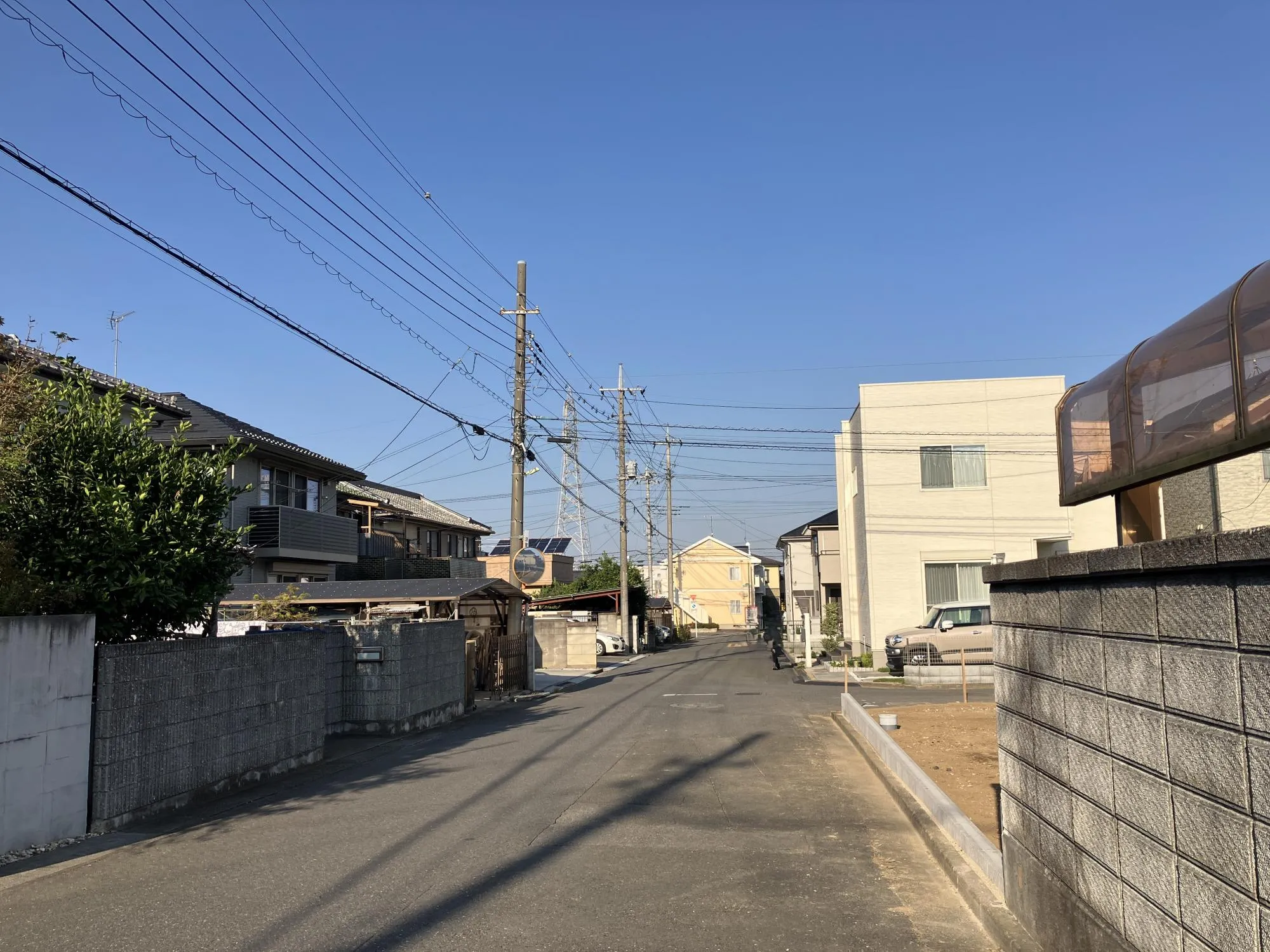 現地写真　11月撮影