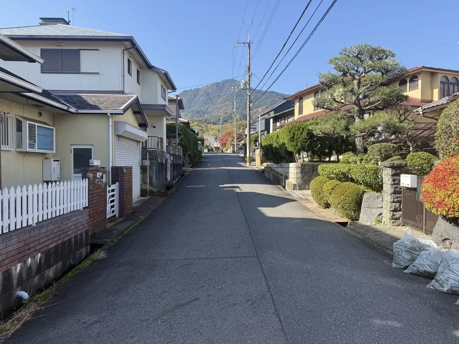 【販売現地】2025.11.30撮影