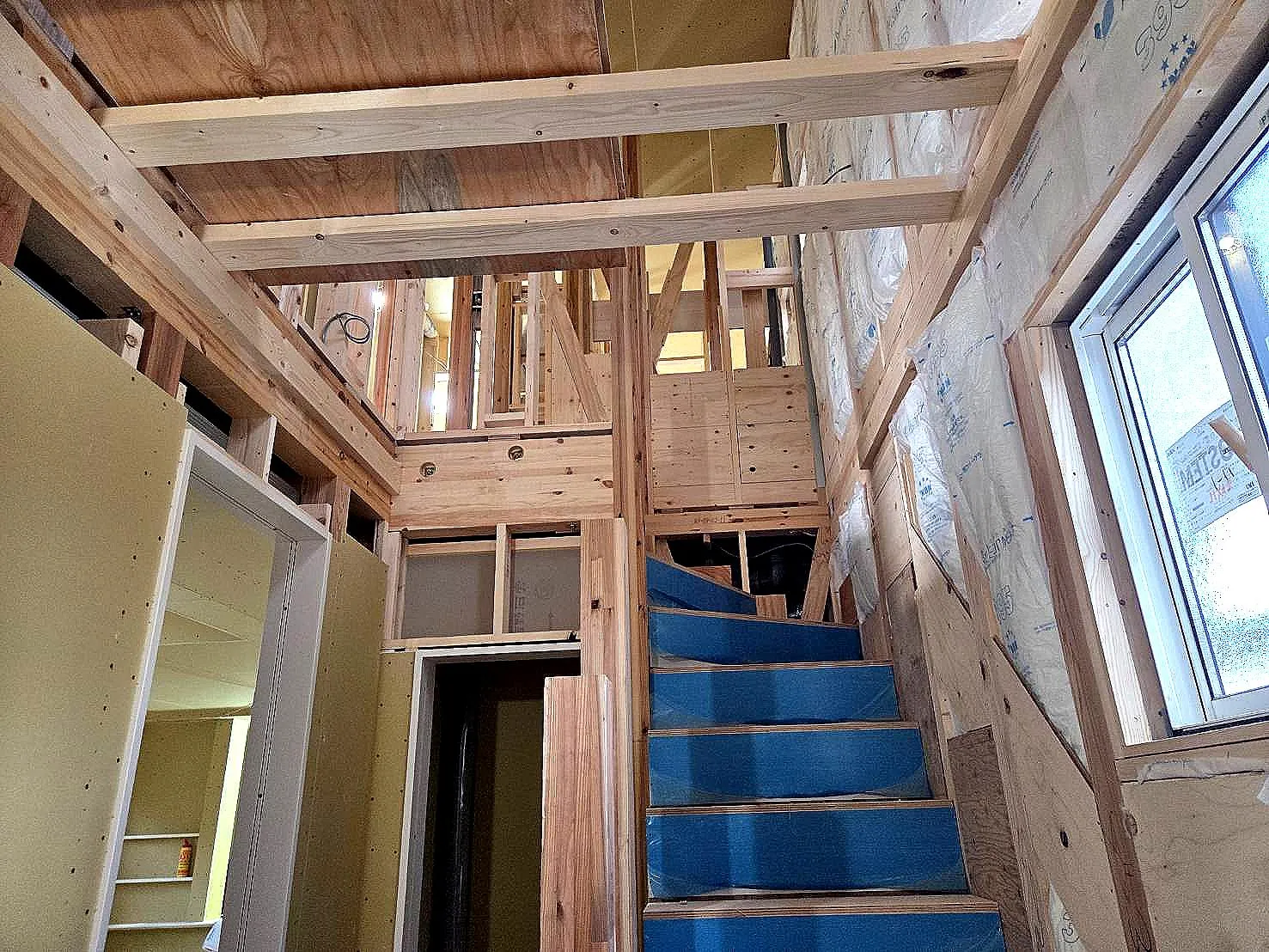 2026年1月上旬撮影