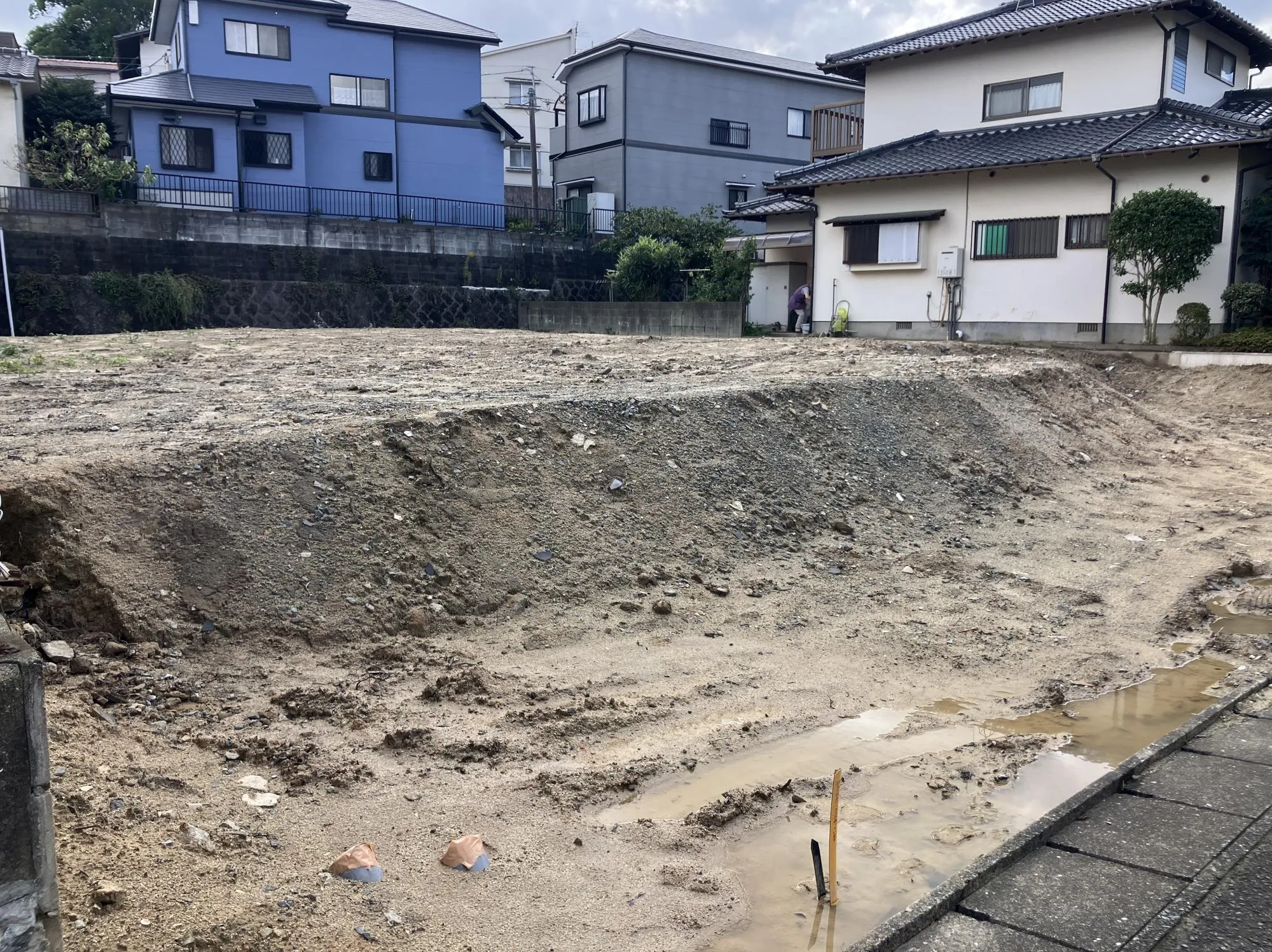 現地写真　2025年11月中旬