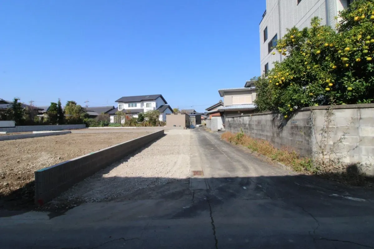 11月14日撮影　前面道路