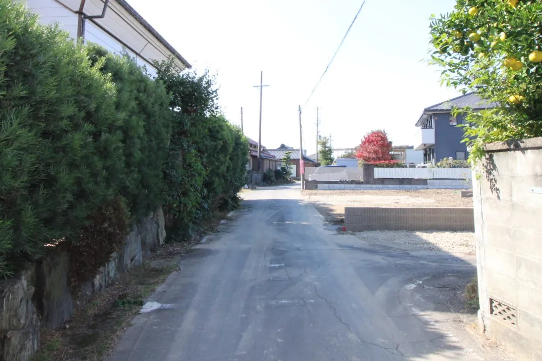 11月14日撮影　前面道路