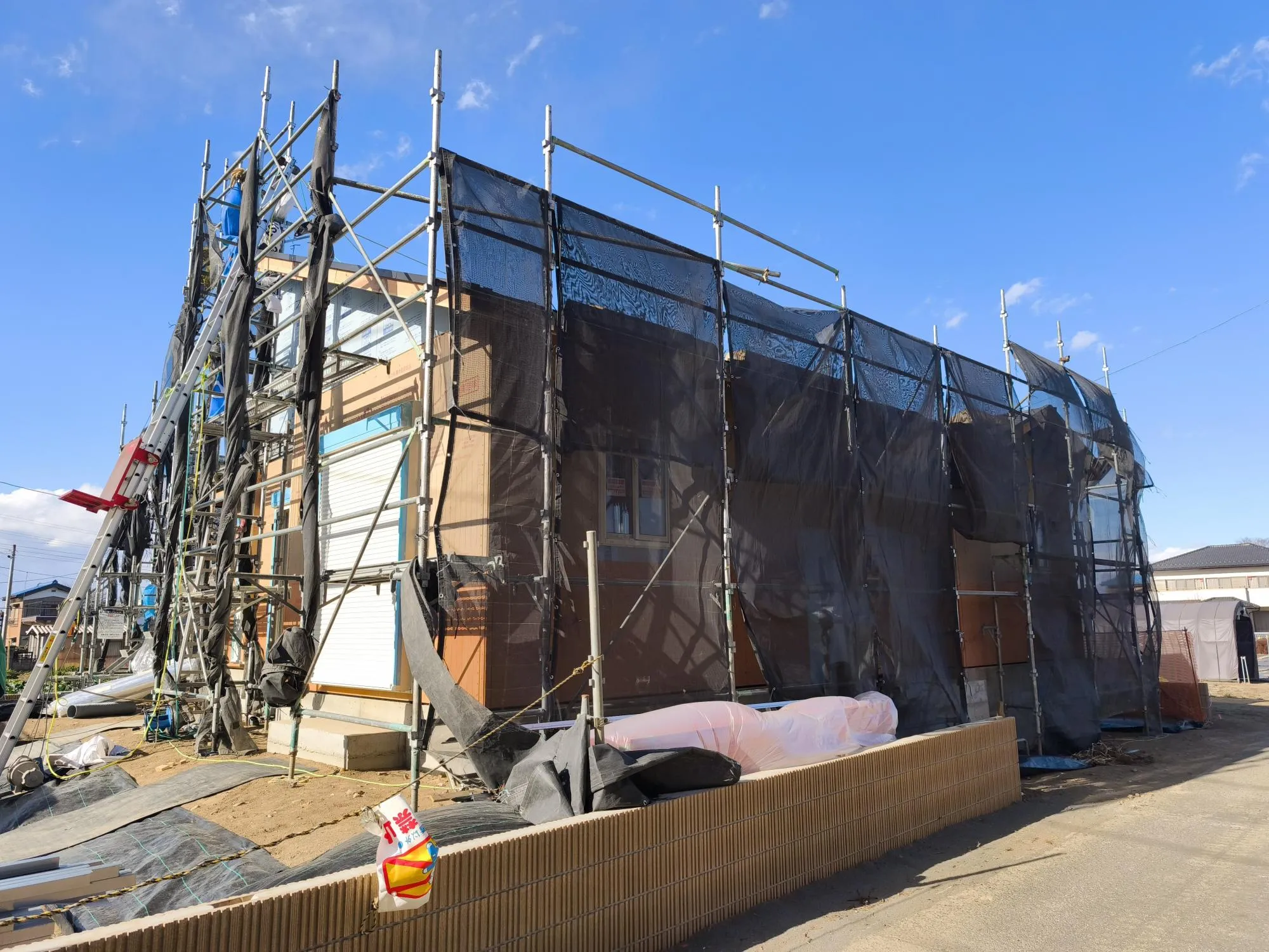 現地写真　1月撮影