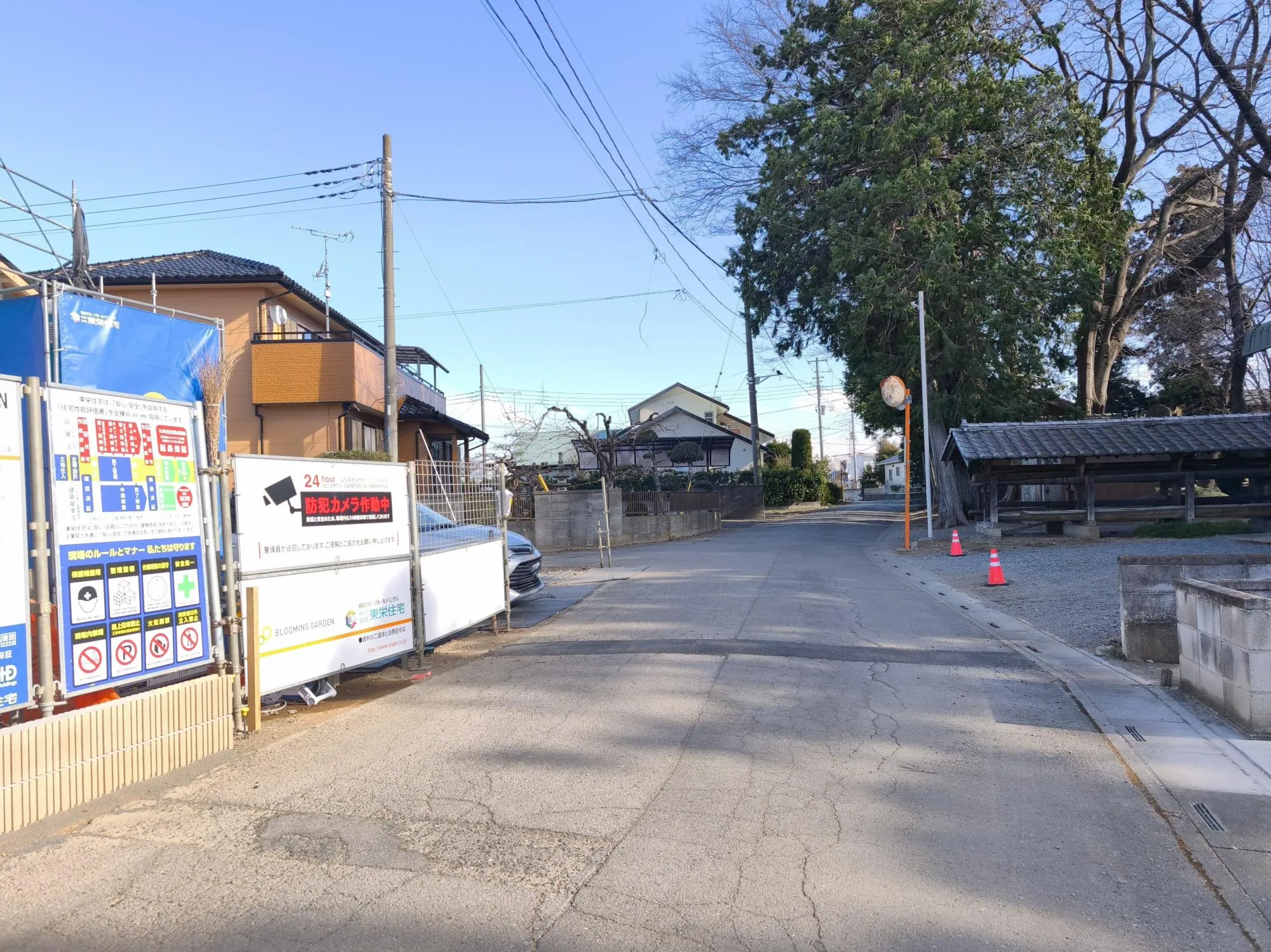 現地写真　1月撮影