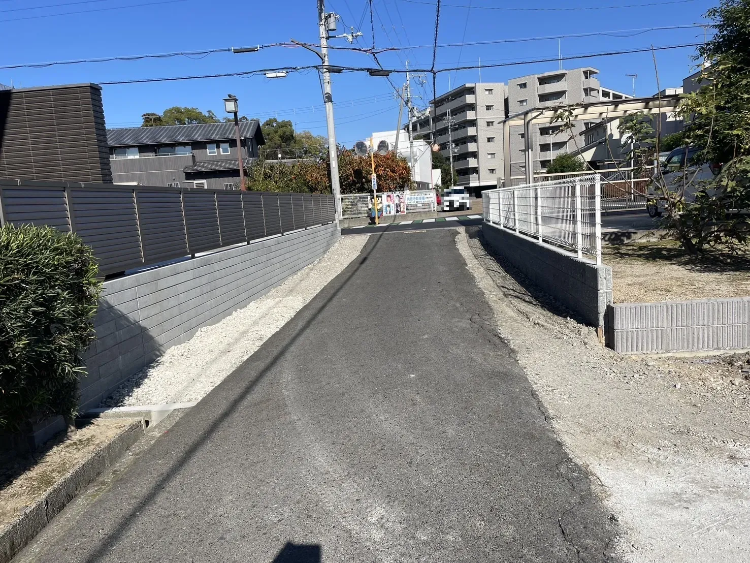 【販売現地】2025.11.16撮影