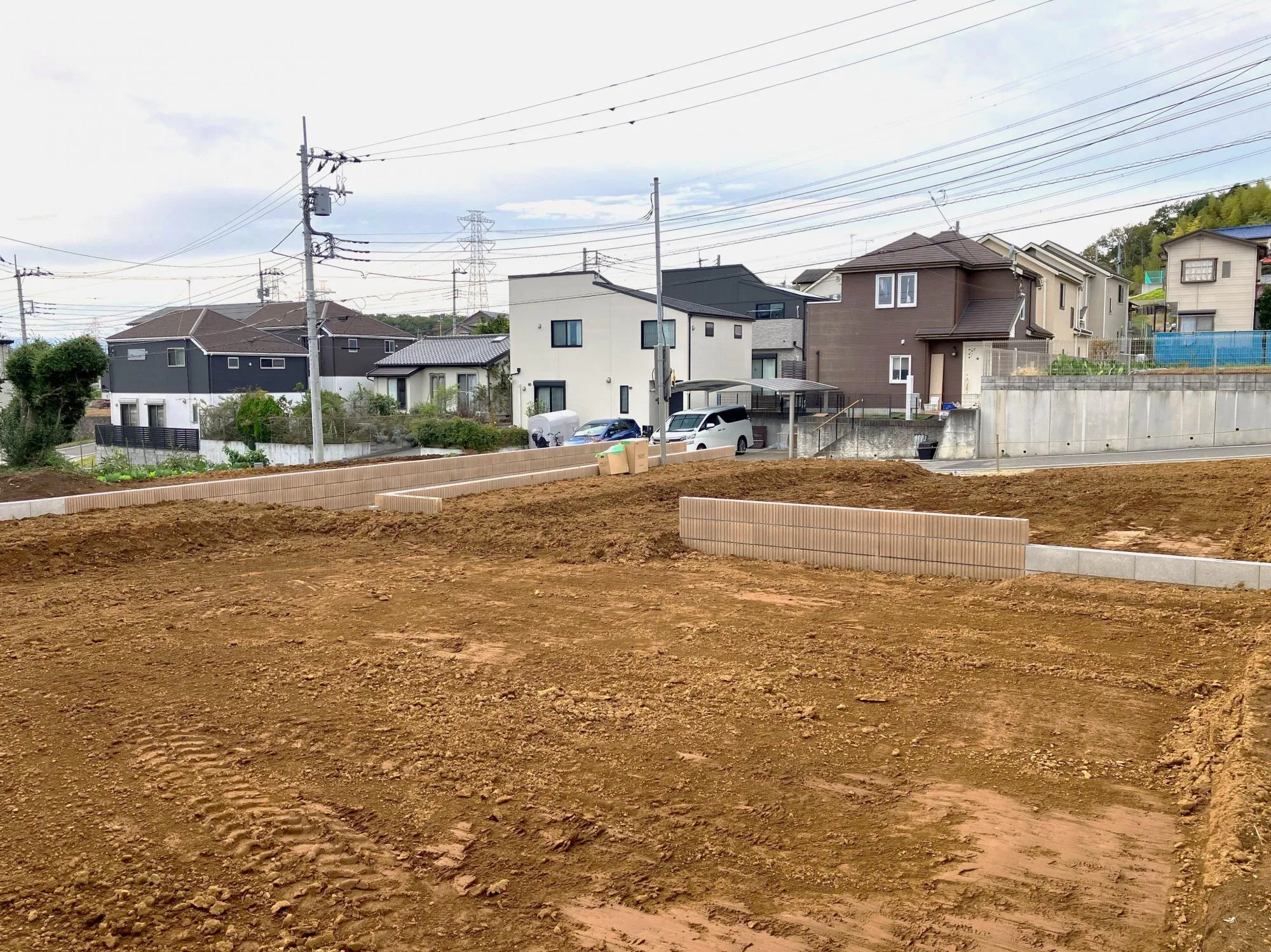 2025年11月6日撮影