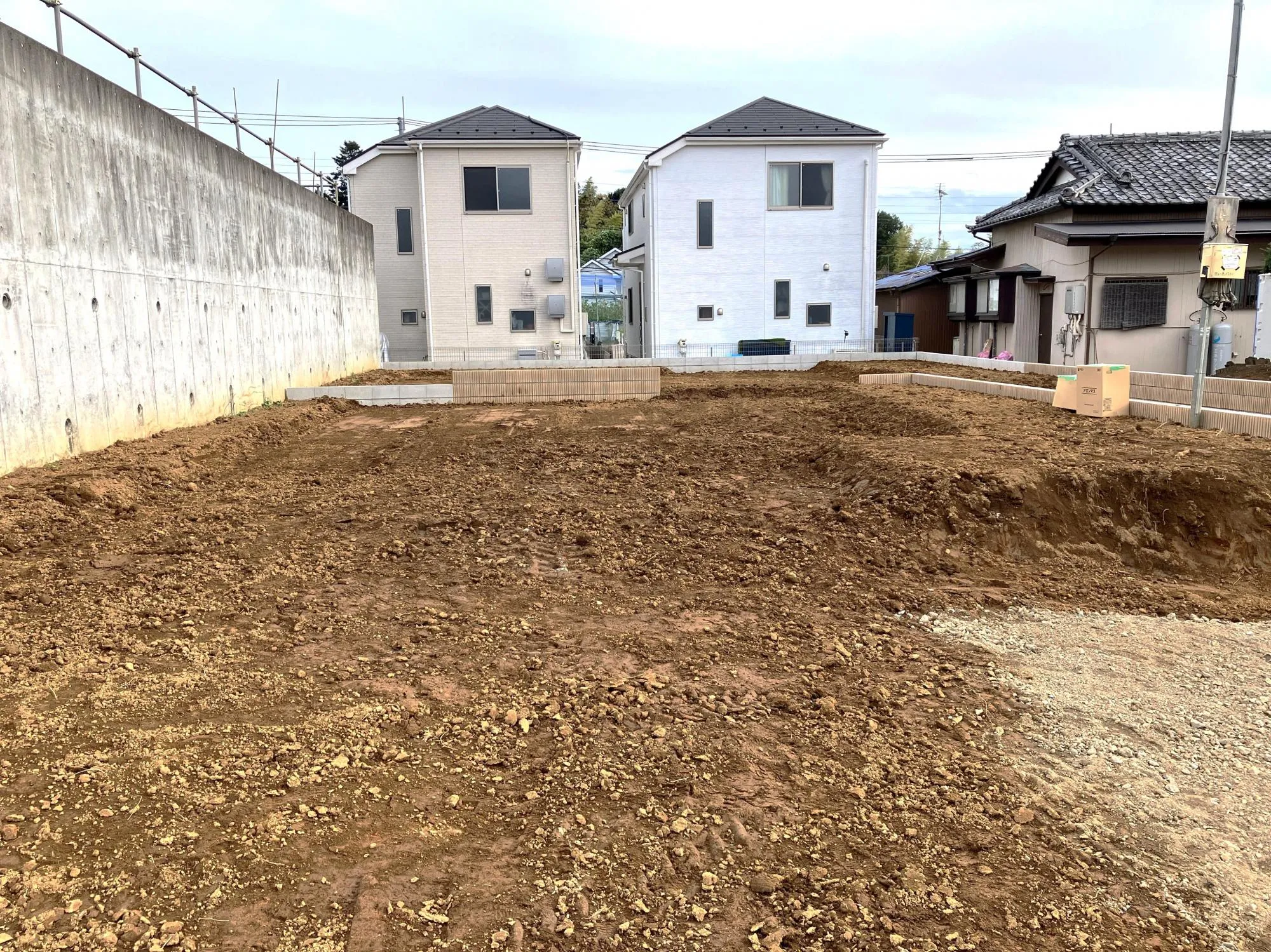 2025年11月6日撮影