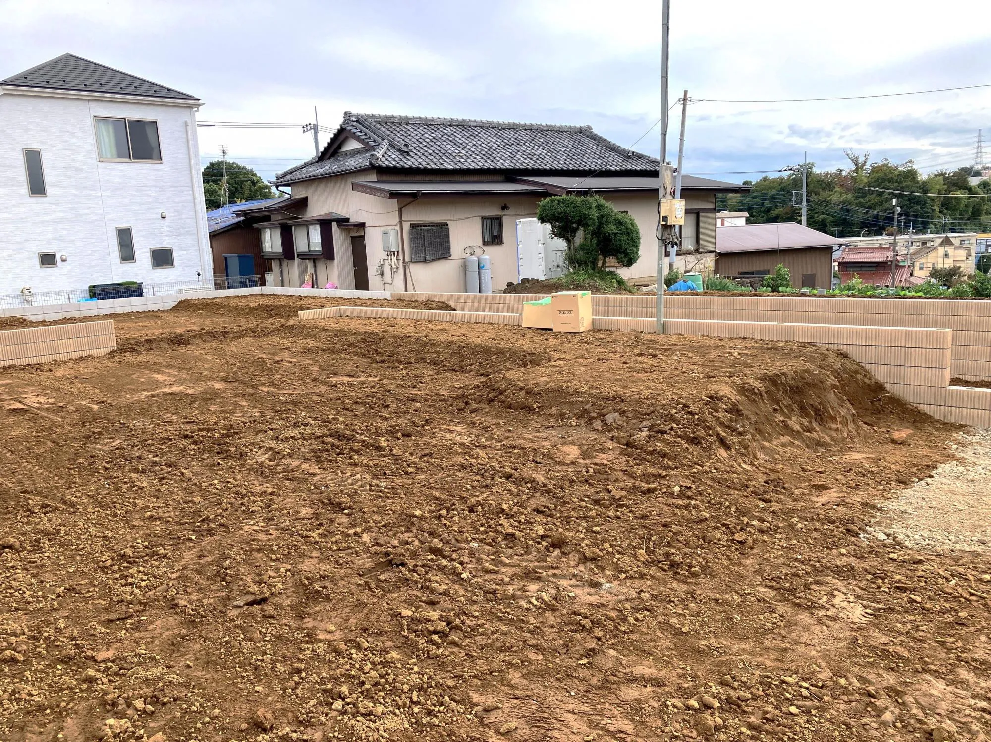 2025年11月6日撮影