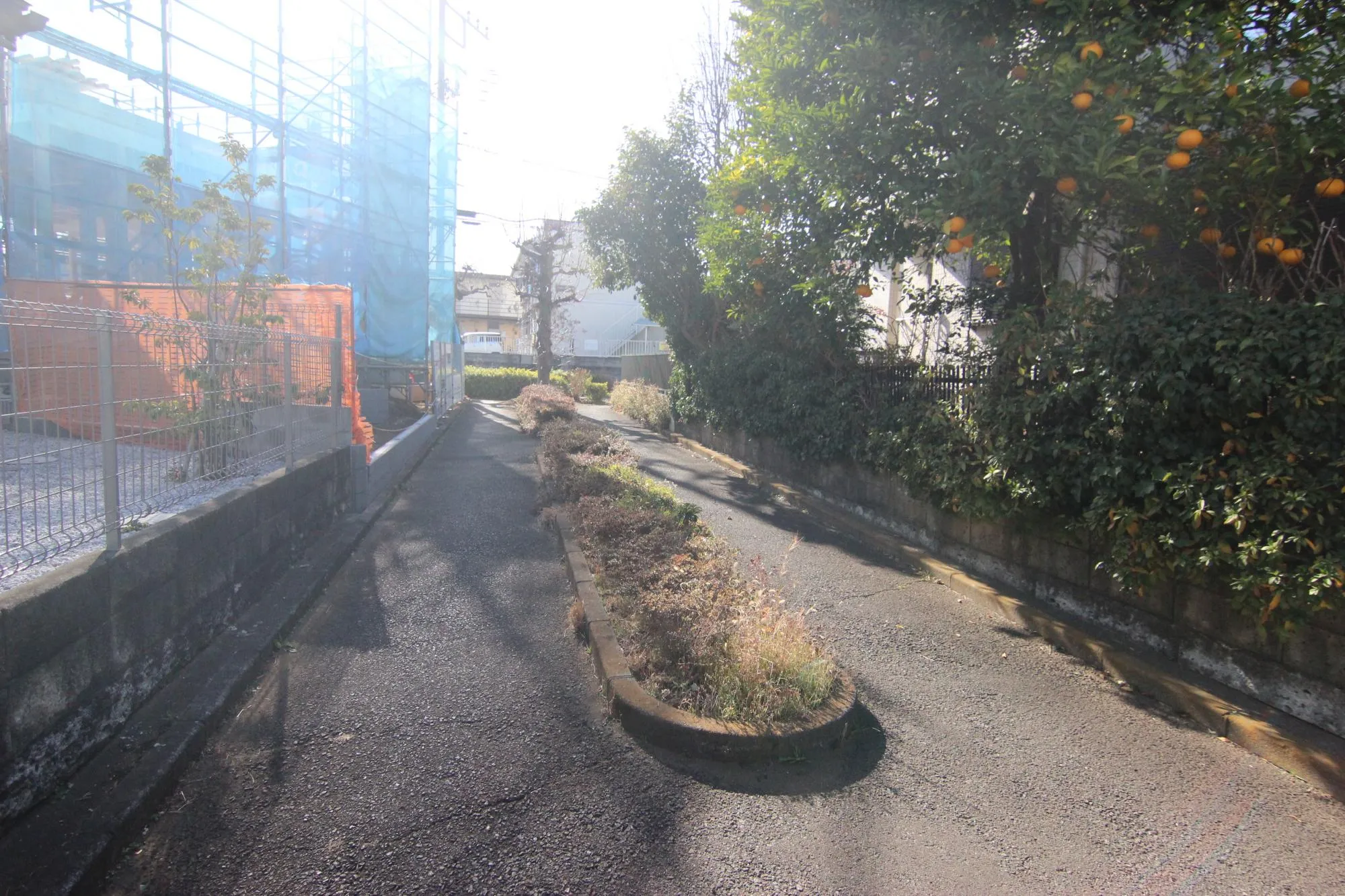 前面道路写真(北)　2026.1.25