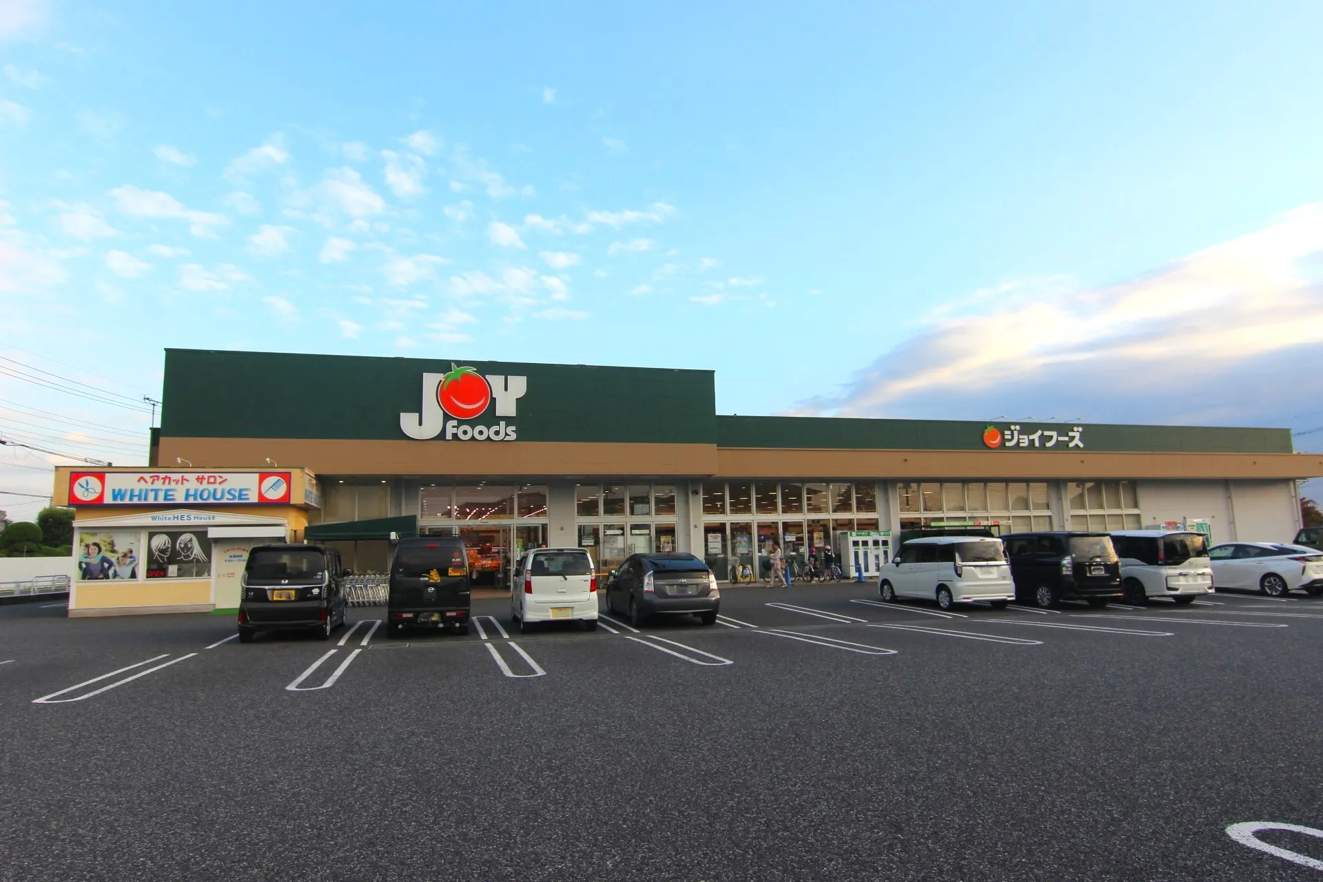 ジョイフーズ蓮田藤ノ木店