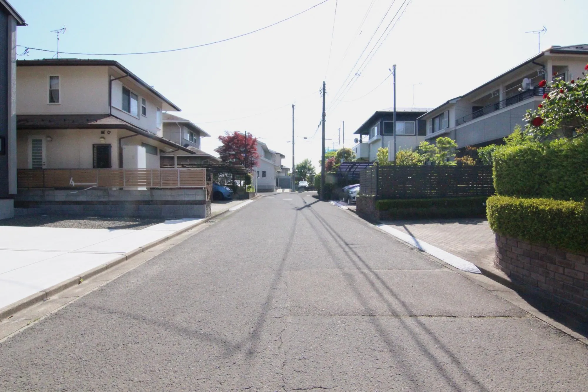 【前面道路西側】