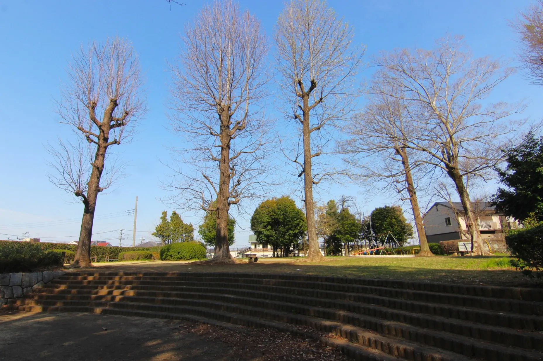 堂山公園