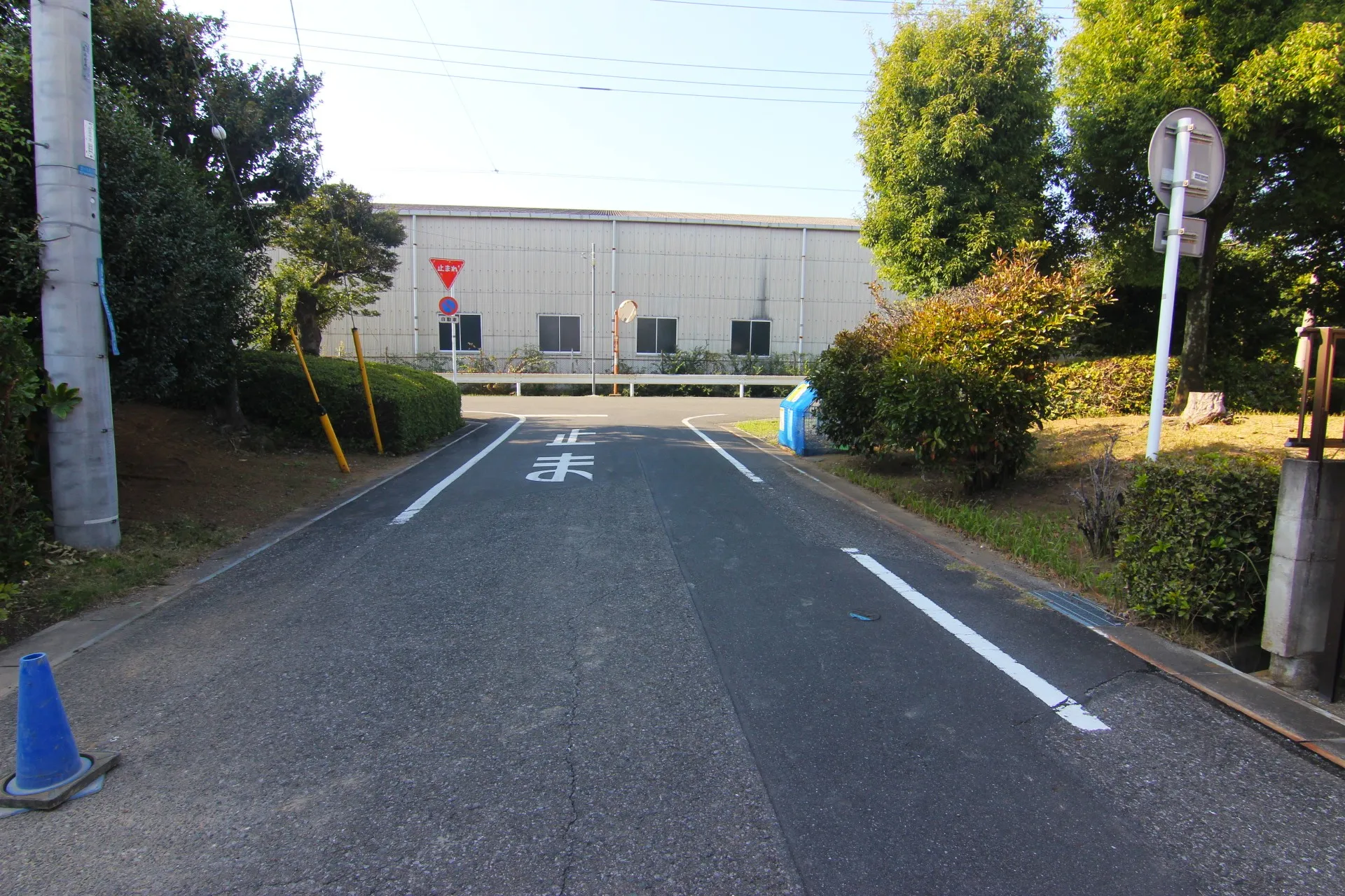 販売現地(前面道路)【2025/11/8撮影】