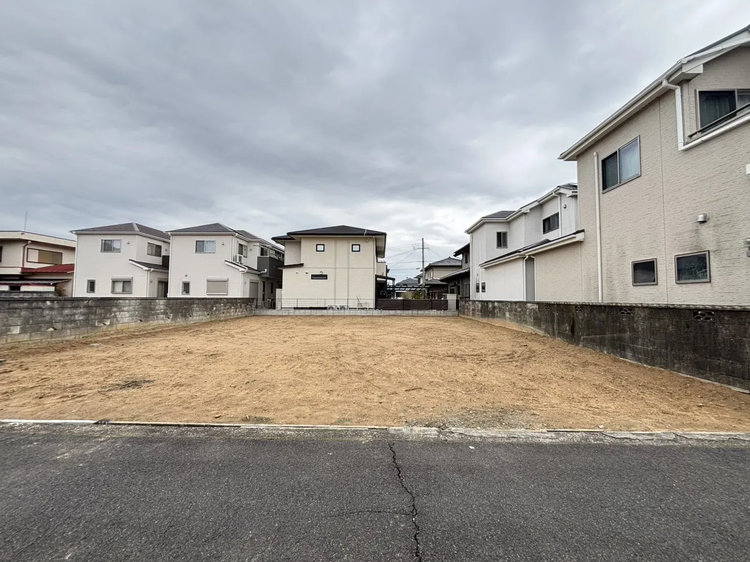 2025年11月中旬撮影